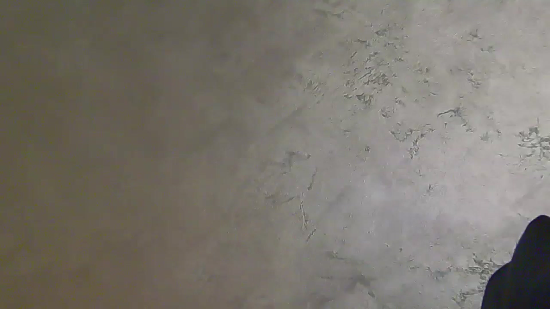 Gallery image thumbnail from NotVanilla's myfreecams stream on, 04/27/2026, 02:03 image 15 of 20
