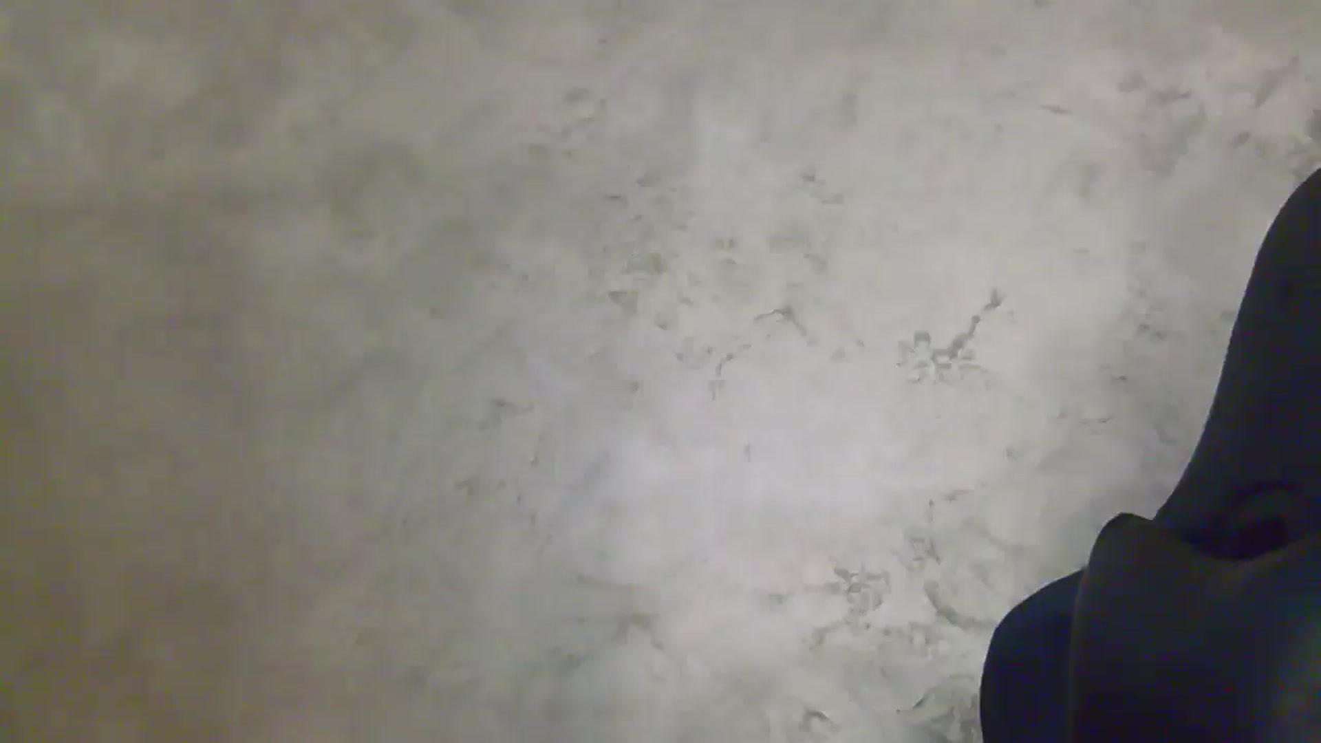 Gallery image thumbnail from NotVanilla's myfreecams stream on, 04/29/2026, 01:36 image 5 of 20