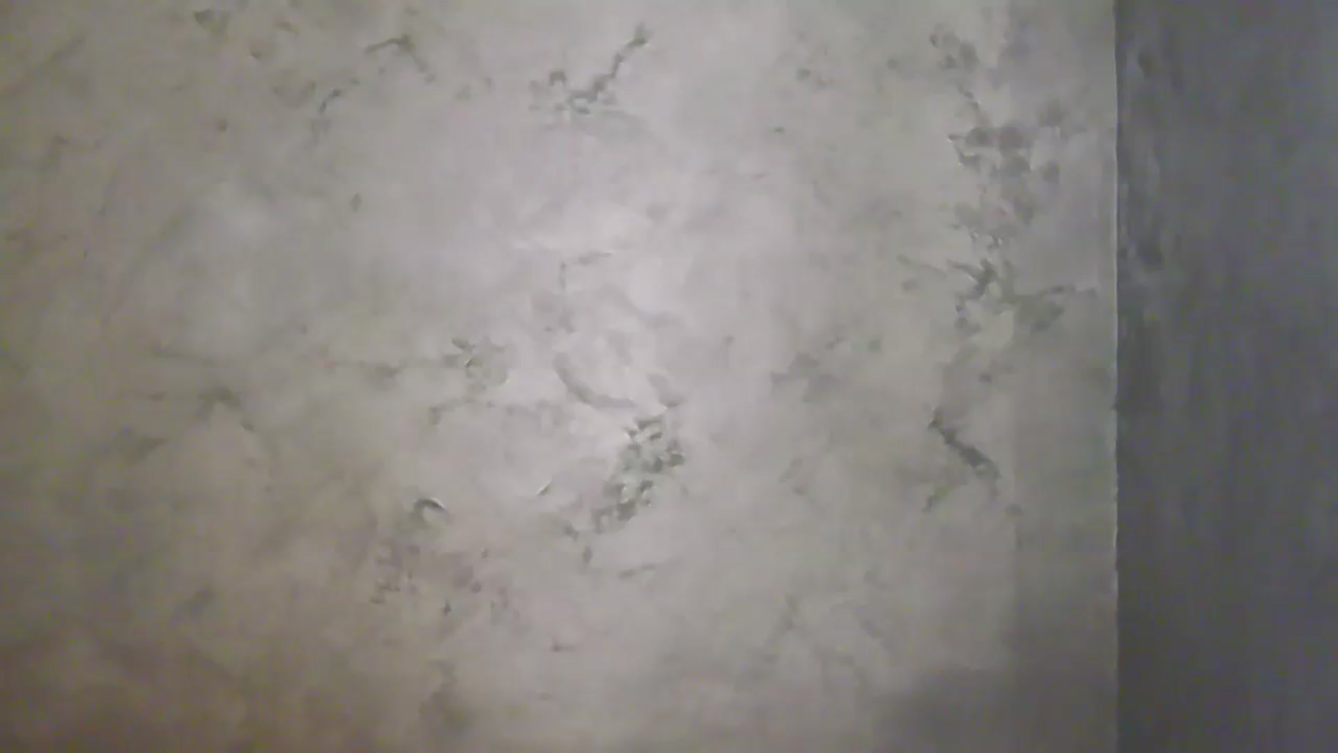 Gallery image thumbnail from NotVanilla's myfreecams stream on, 05/21/2026, 02:05 image 20 of 20