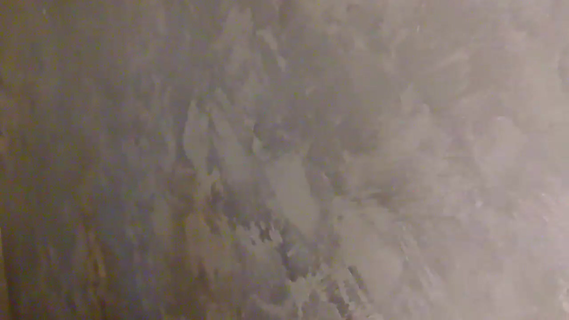 Gallery image thumbnail from NotVanilla's myfreecams stream on, 08/27/2026, 02:16 image 3 of 20
