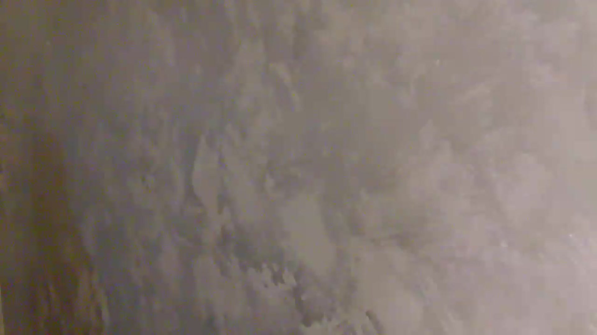Gallery image thumbnail from NotVanilla's myfreecams stream on, 08/27/2026, 02:16 image 2 of 20