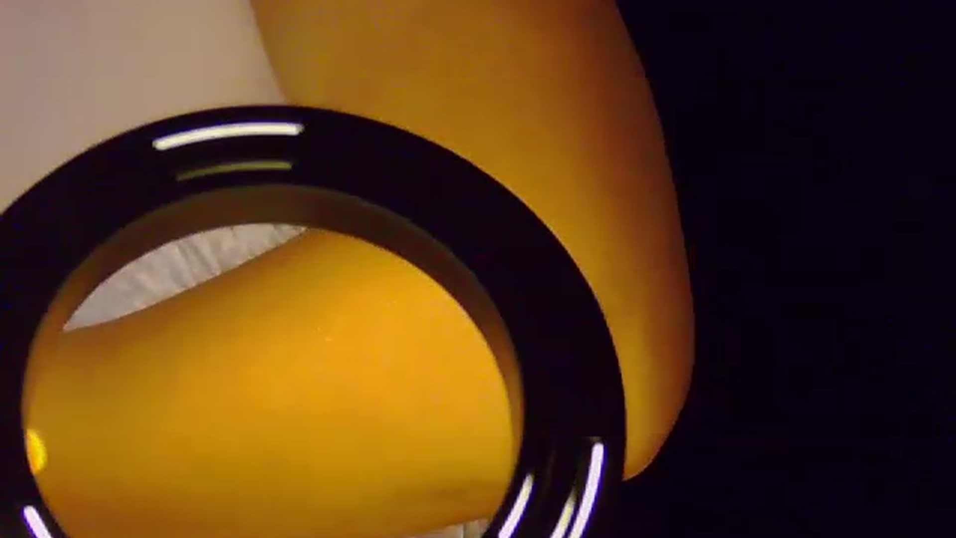 Gallery image thumbnail from NotVanilla's myfreecams stream on, 08/31/2026, 22:52 image 9 of 20