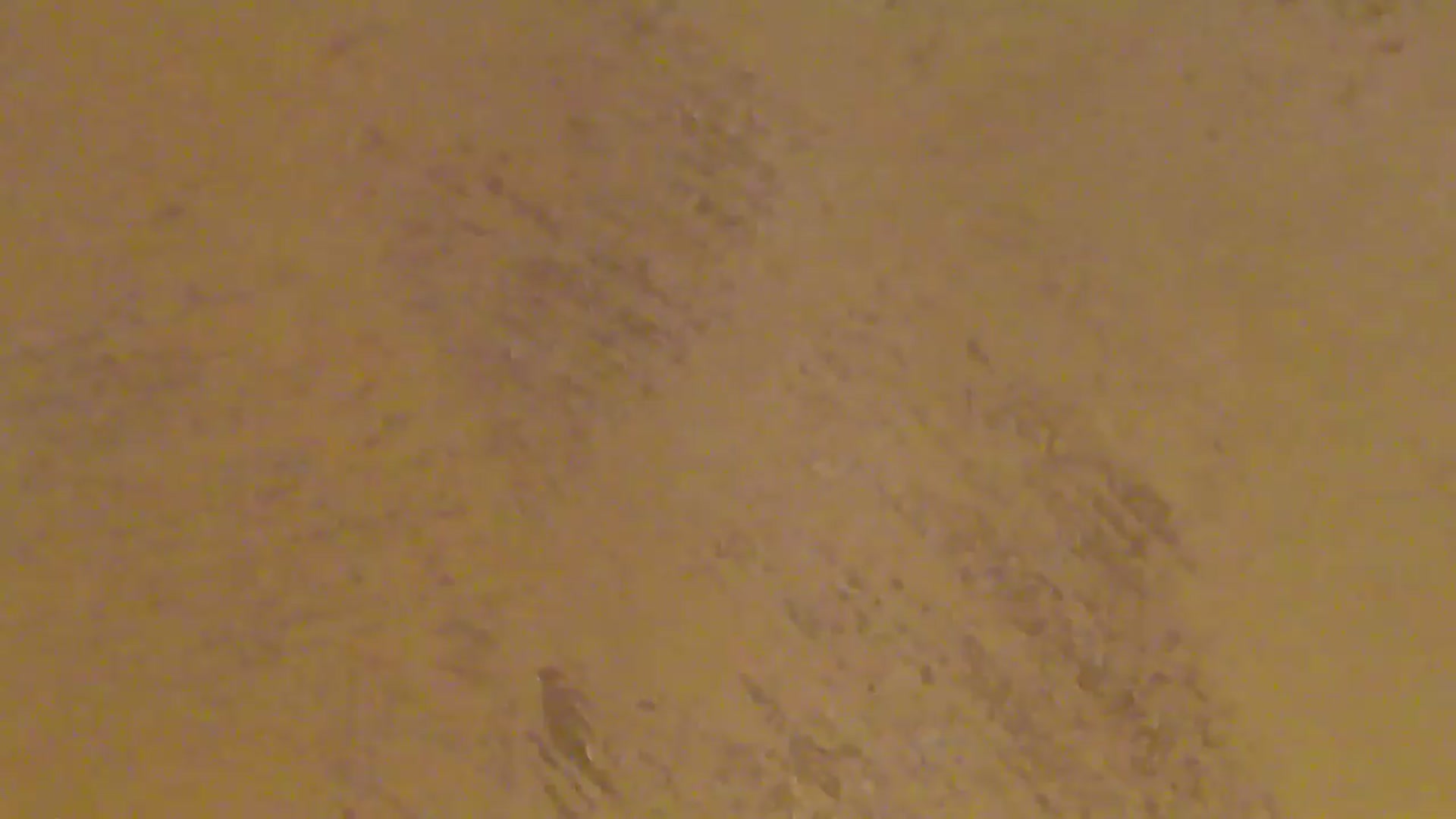 Gallery image thumbnail from NotVanilla's myfreecams stream on, 09/09/2026, 23:16 image 20 of 20