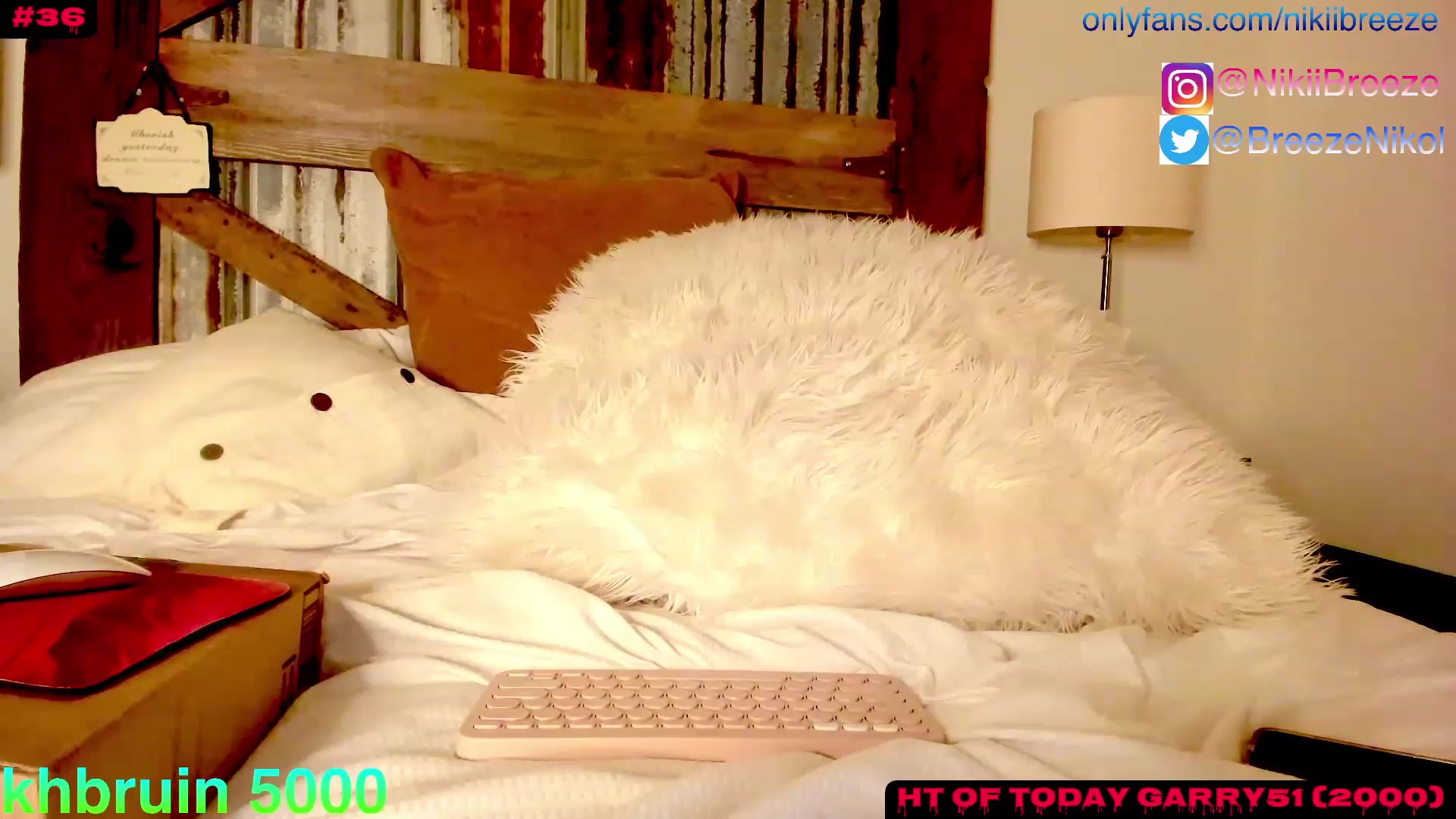 Gallery image thumbnail from Not_N's myfreecams stream on, 08/21/2023, 04:09 image 19 of 20