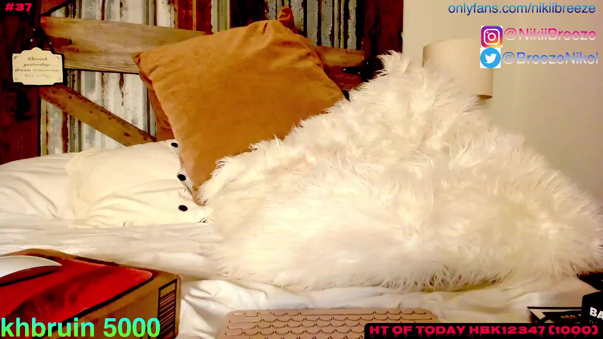 Gallery image thumbnail from Not_N's myfreecams stream on, 08/24/2023, 04:28 image 9 of 20
