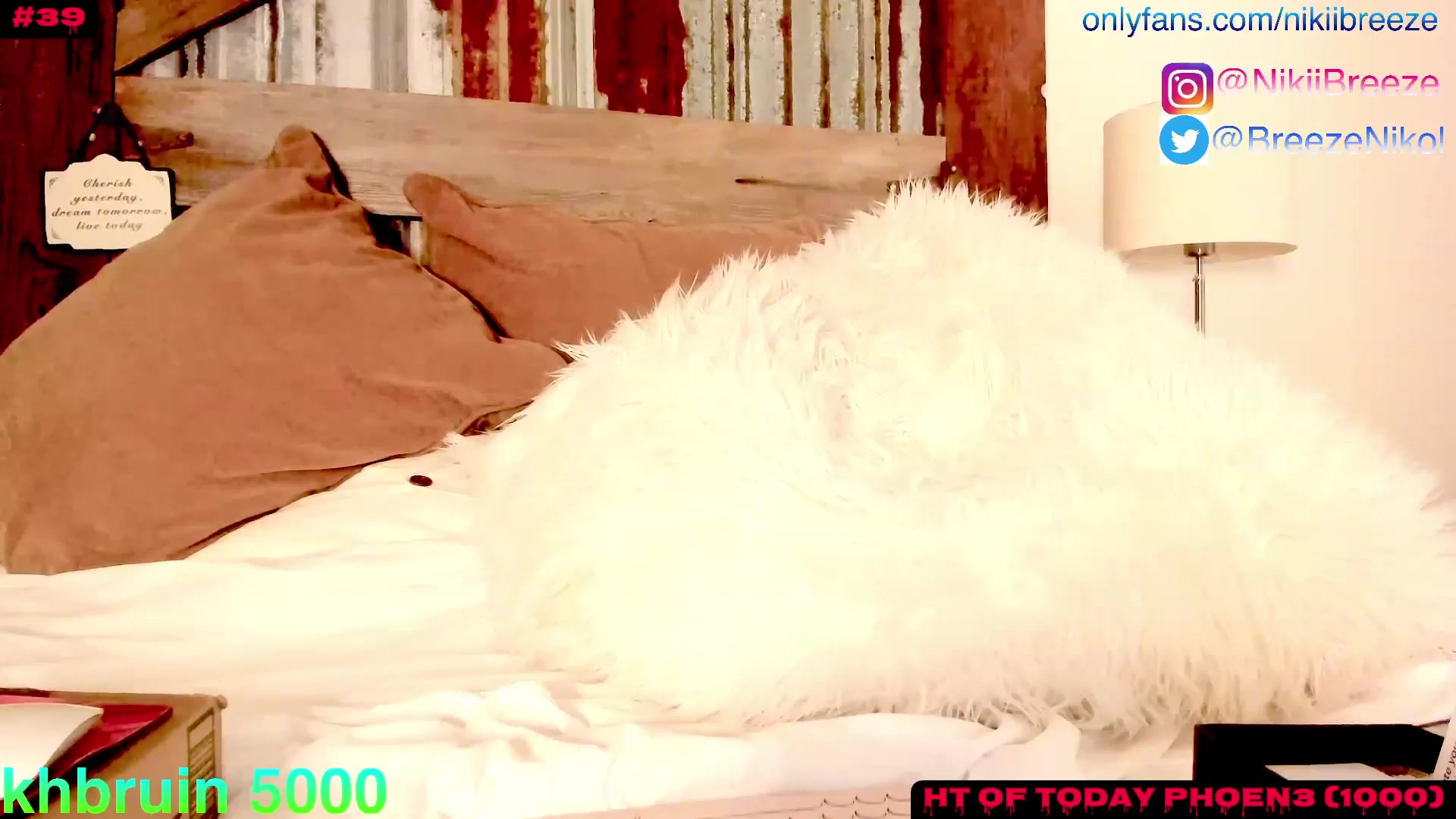 Gallery image thumbnail from Not_N's myfreecams stream on, 08/25/2023, 03:04 image 17 of 20
