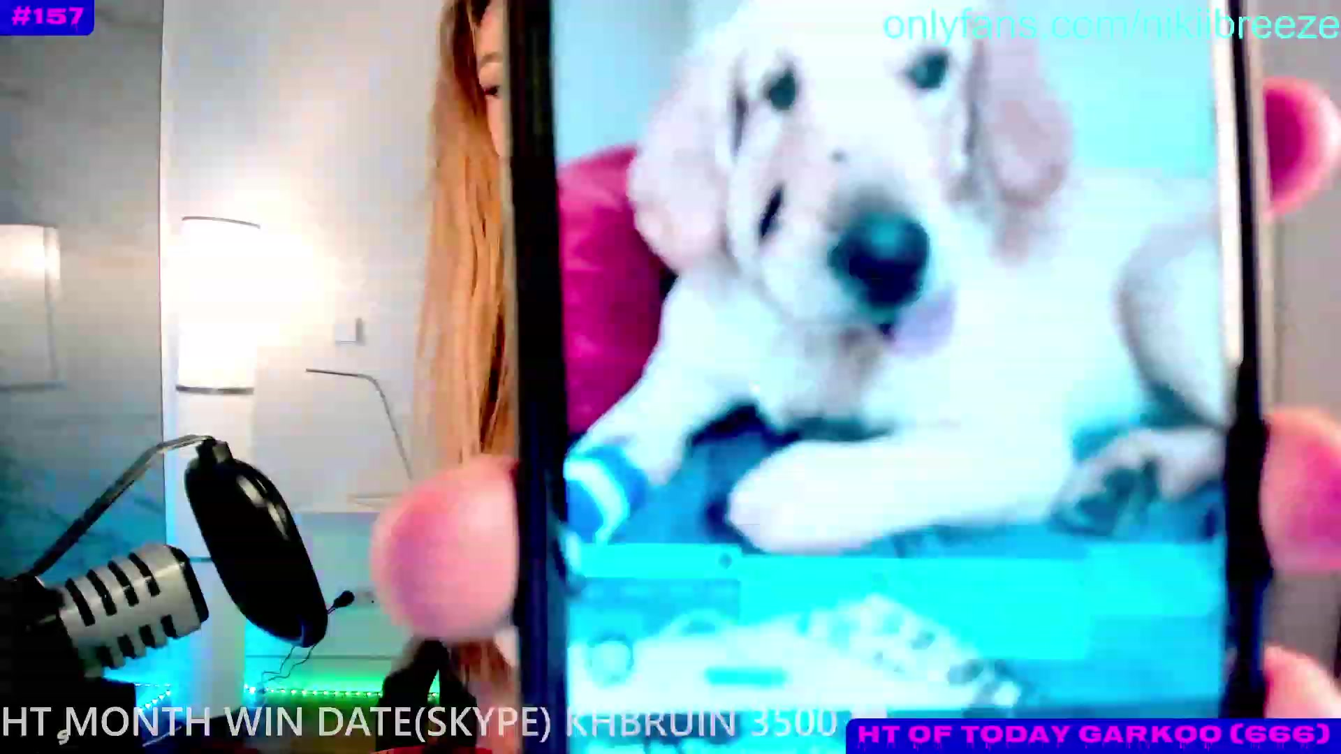 Gallery image thumbnail from Not_N's myfreecams stream on, 12/15/2023, 01:47 image 3 of 20