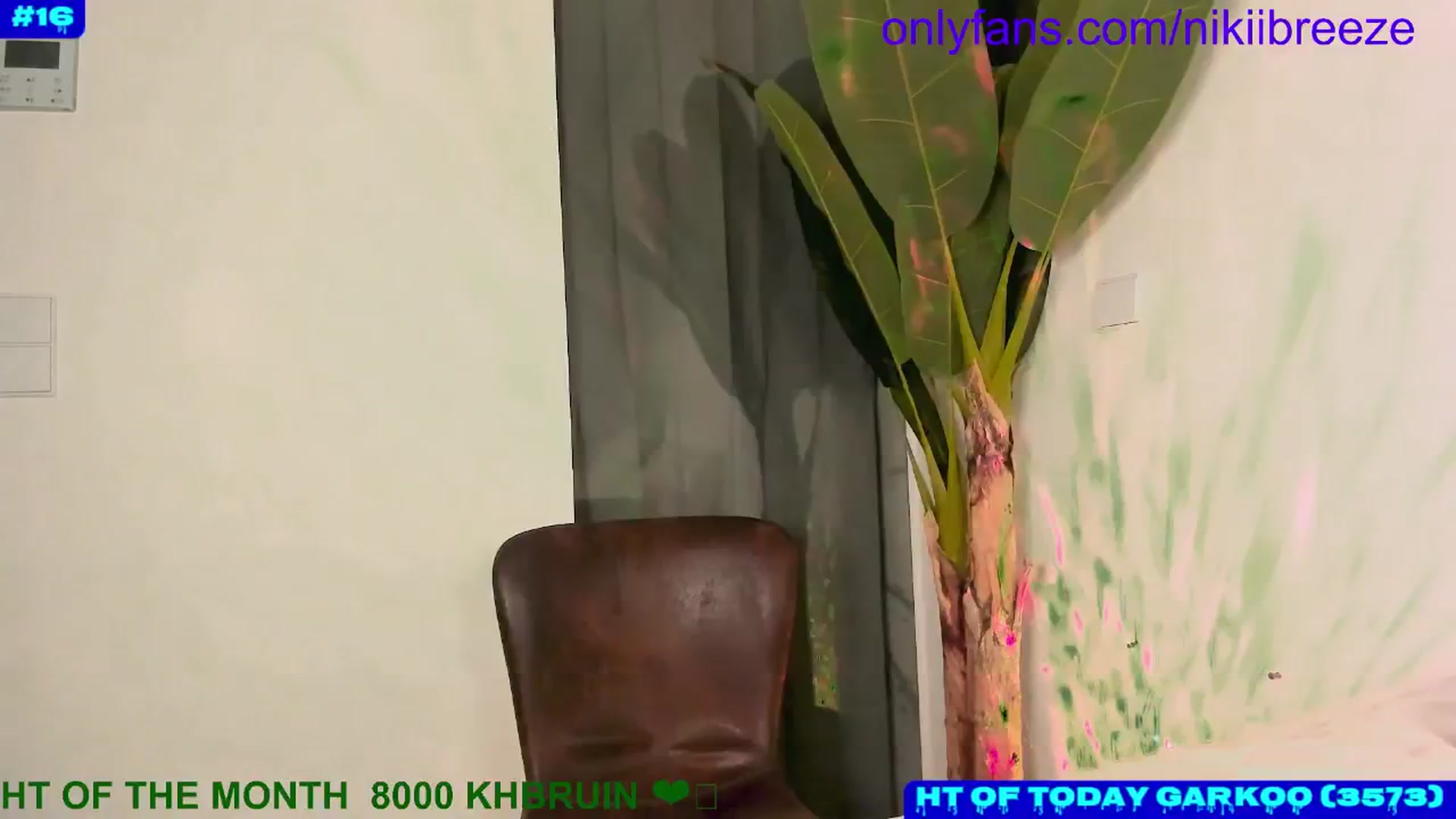 Gallery image thumbnail from Not_N's myfreecams stream on, 08/19/2024, 05:52 image 2 of 20