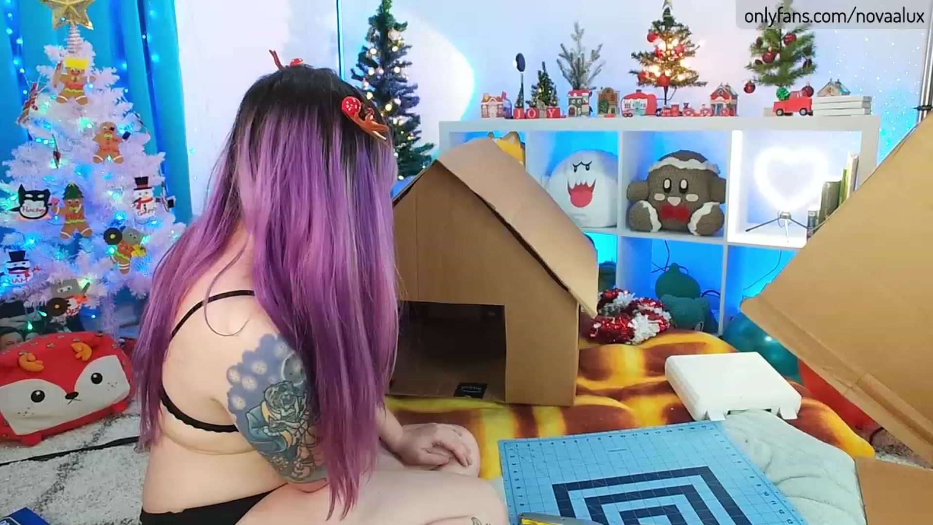 Gallery image thumbnail from Novaalux's myfreecams stream on, 12/26/2022, 05:41 image 14 of 20