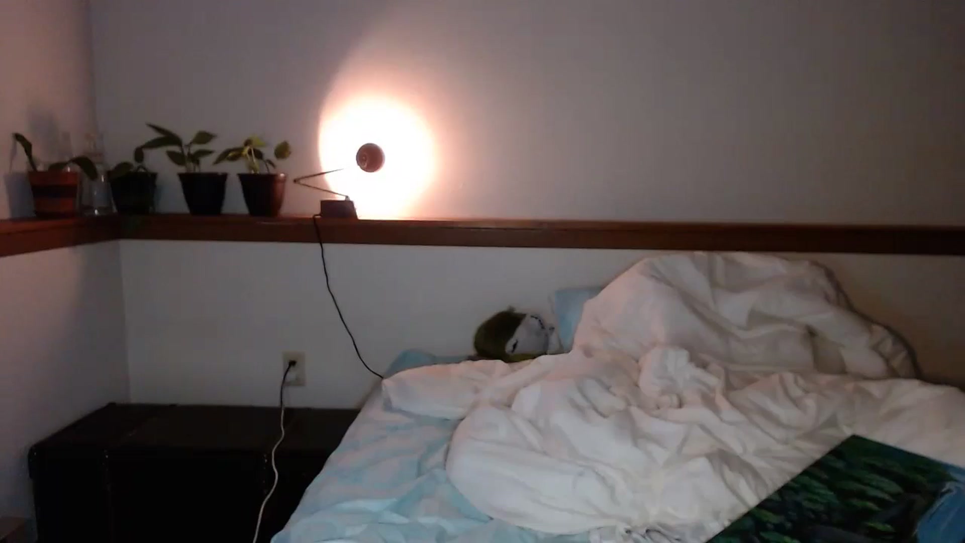 Gallery image thumbnail from Nubilefae's myfreecams stream on, 04/29/2024, 03:21 image 5 of 20