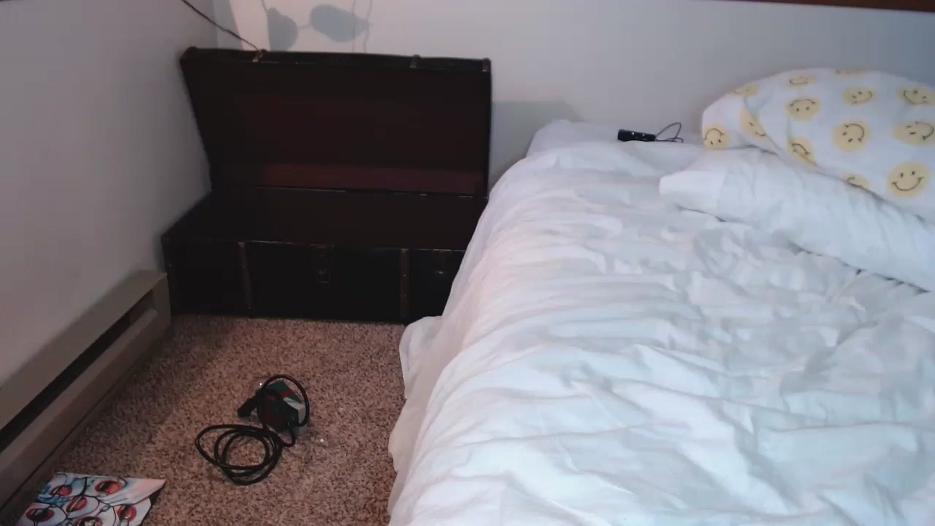 Gallery image thumbnail from Nubilefae's myfreecams stream on, 06/14/2024, 24:30 image 15 of 20