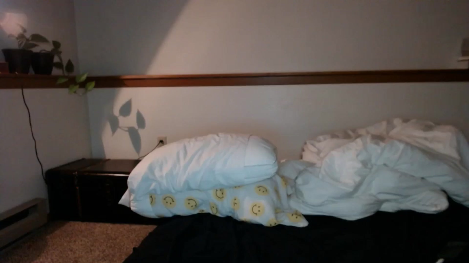 Gallery image thumbnail from Nubilefae's myfreecams stream on, 08/26/2024, 04:21 image 19 of 20