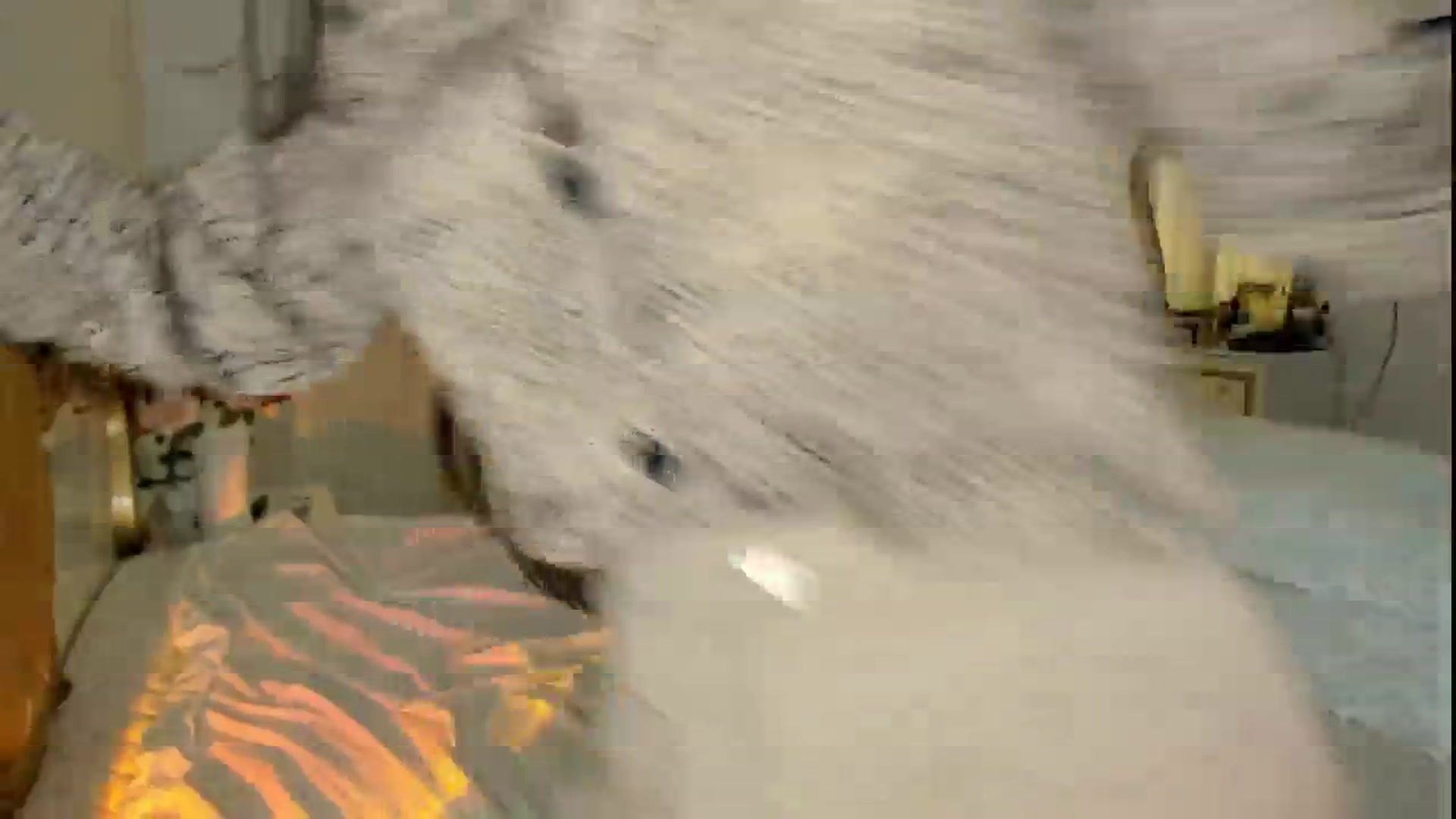 Gallery image thumbnail from NycoleAniston's myfreecams stream on, 10/15/2024, 07:43 image 4 of 20