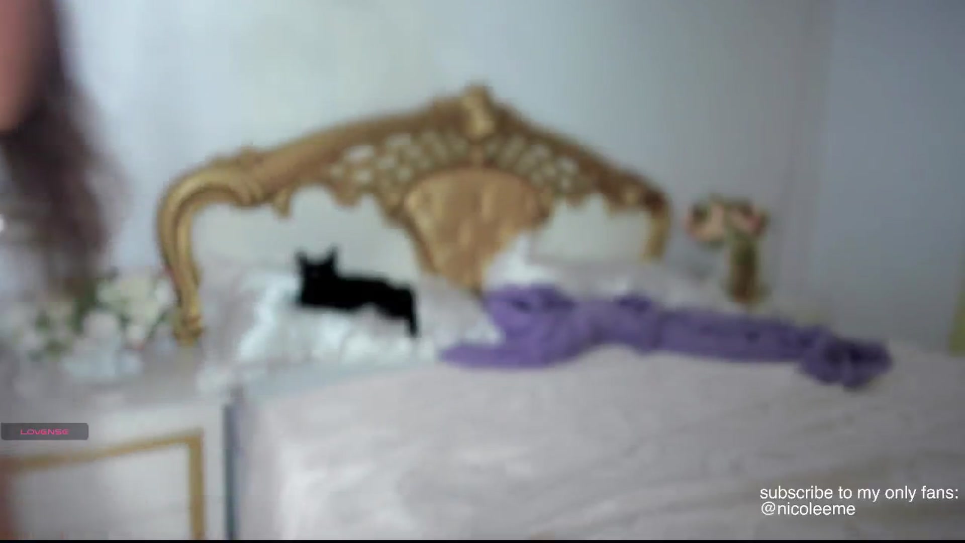 Gallery image thumbnail from NycoleAniston's myfreecams stream on, 06/25/2025, 24:14 image 13 of 20
