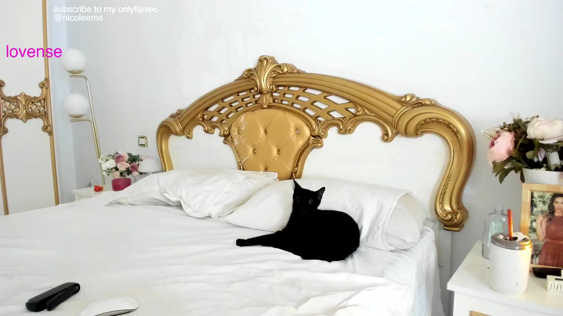 Gallery image thumbnail from NycoleAniston's myfreecams stream on, 08/28/2025, 08:12 image 3 of 20
