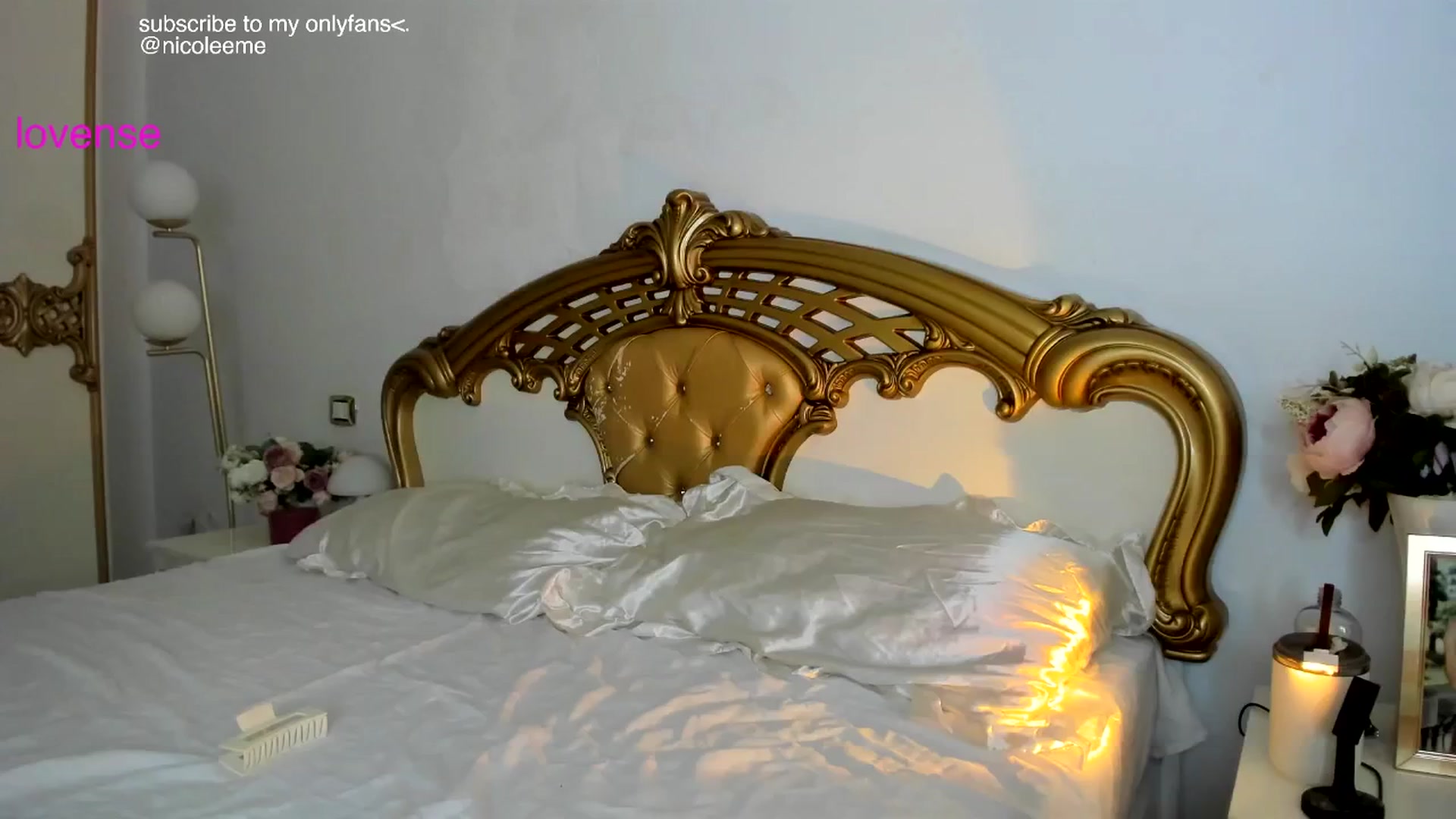 Gallery image thumbnail from NycoleAniston's myfreecams stream on, 09/05/2025, 06:44 image 13 of 20