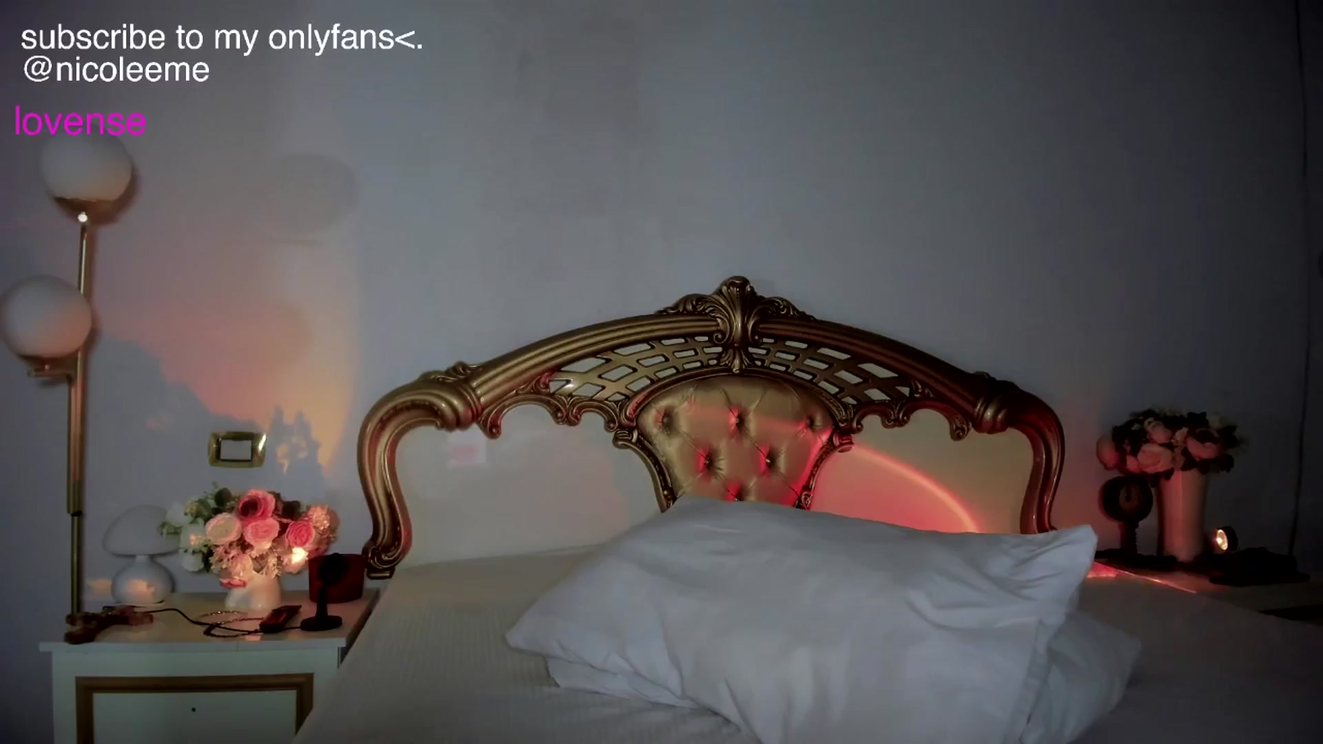 Gallery image thumbnail from NycoleAniston's myfreecams stream on, 11/24/2025, 19:55 image 16 of 20
