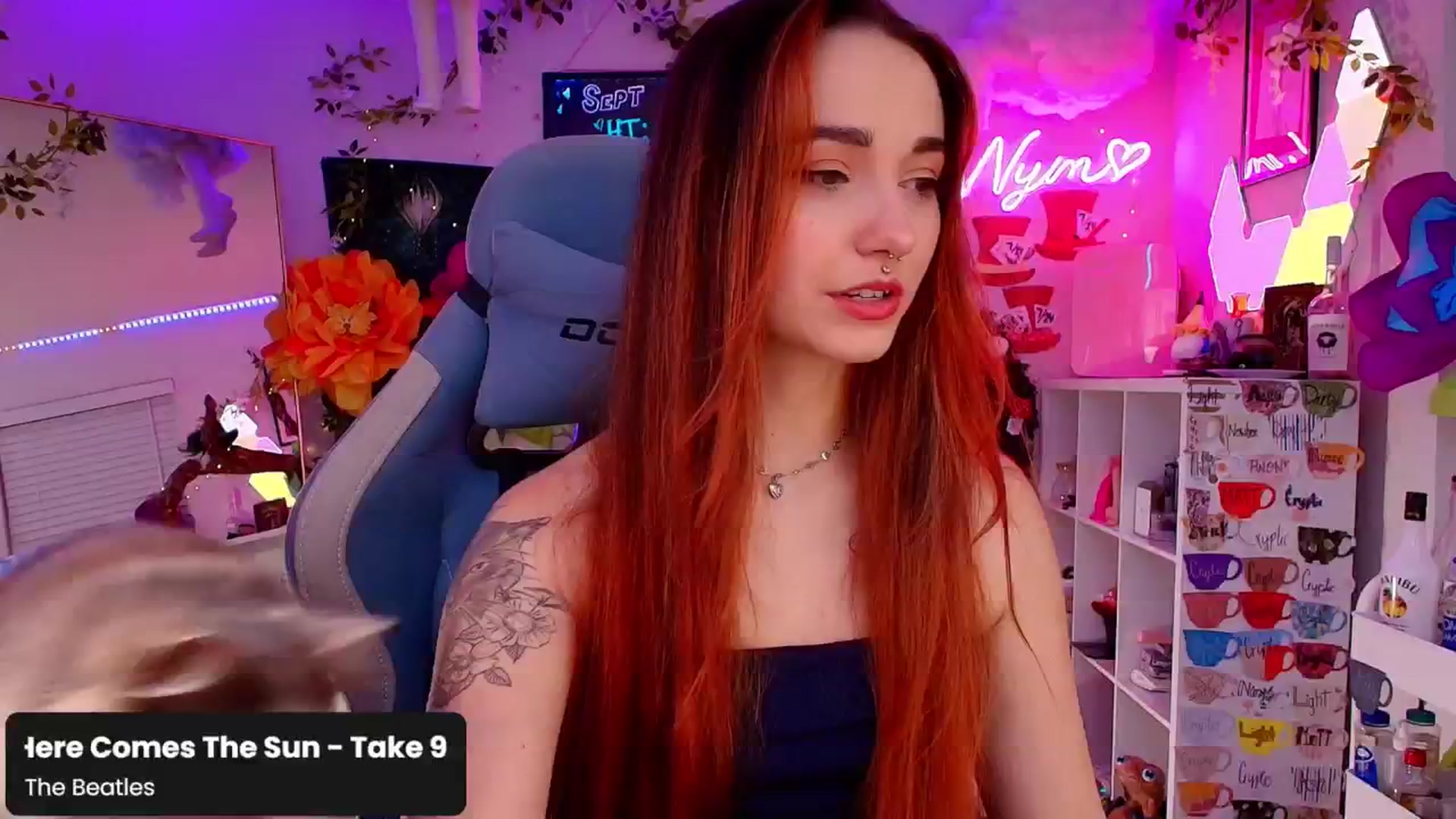 Gallery image thumbnail from Nym_x's myfreecams stream on, 09/09/2024, 02:22 image 9 of 20
