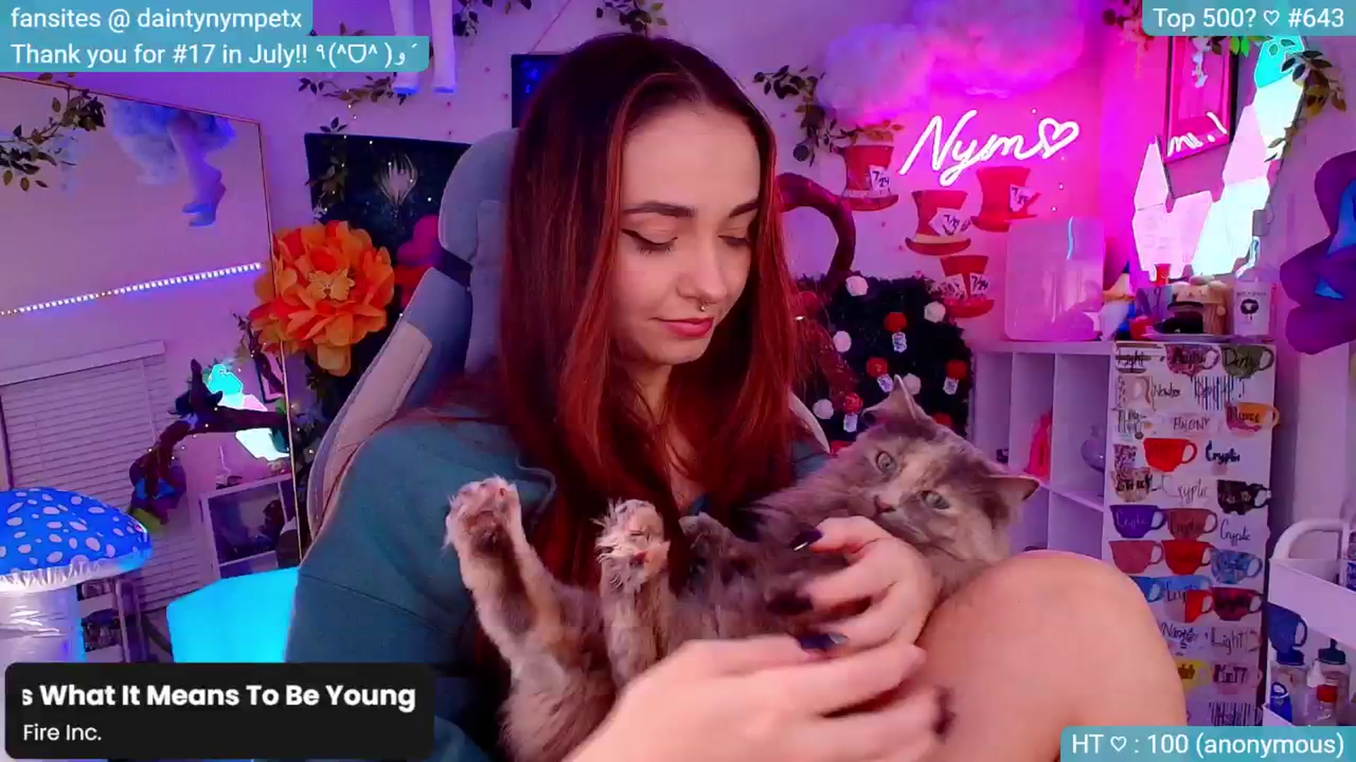 Gallery image thumbnail from Nym_x's myfreecams stream on, 09/30/2024, 03:06 image 5 of 20