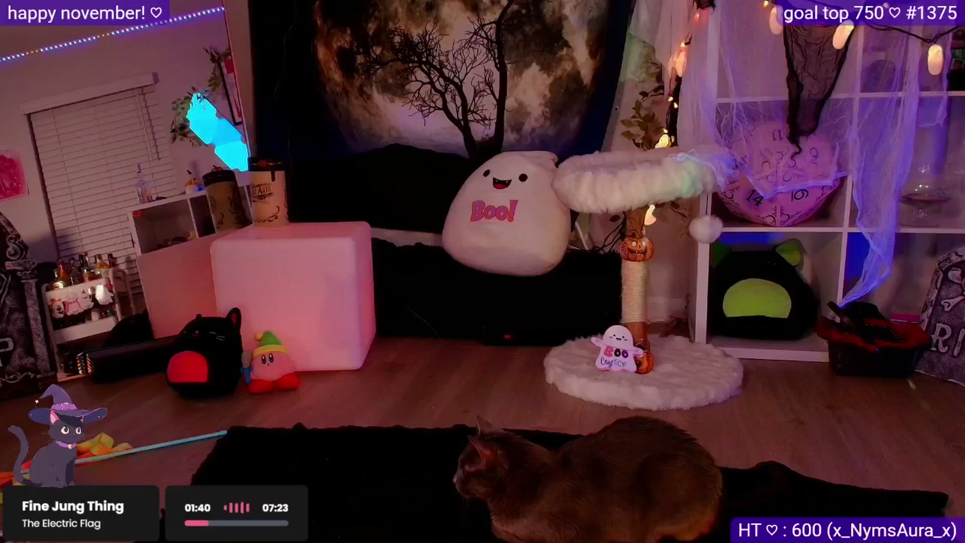 Gallery image thumbnail from Nym_x's myfreecams stream on, 11/15/2025, 05:05 image 3 of 20
