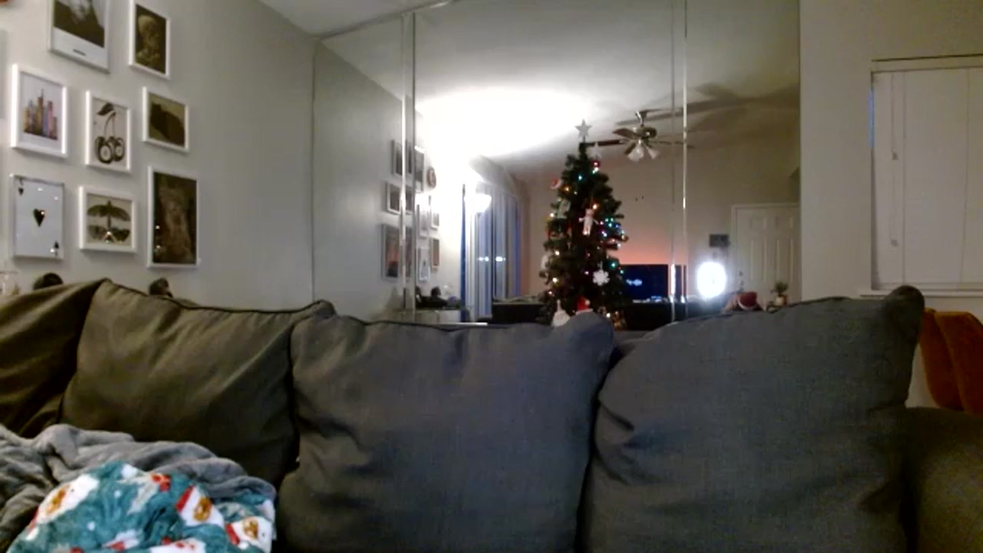 Gallery image thumbnail from Nymph_888's myfreecams stream on, 12/26/2023, 24:00 image 3 of 20