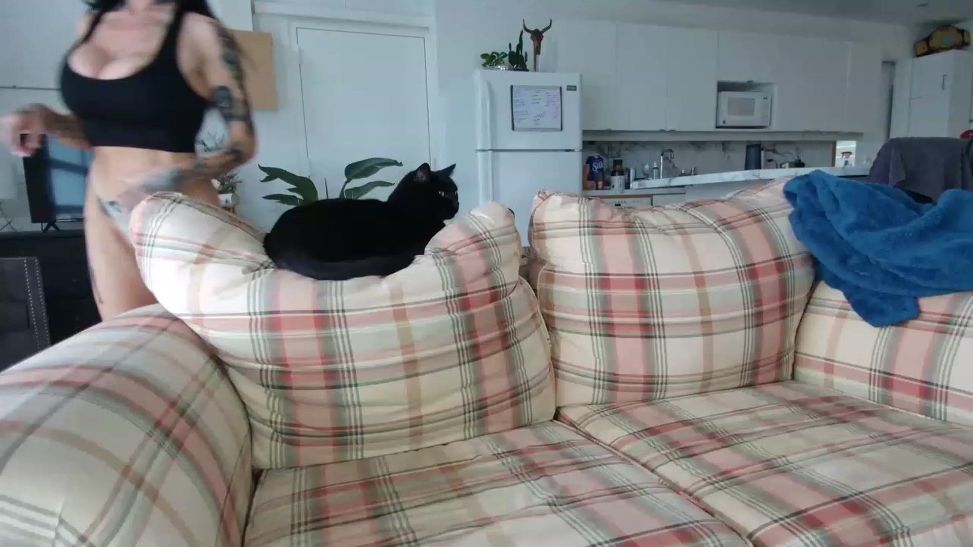 Gallery image thumbnail from OGGoldie's myfreecams stream on, 12/07/2022, 20:38 image 3 of 20