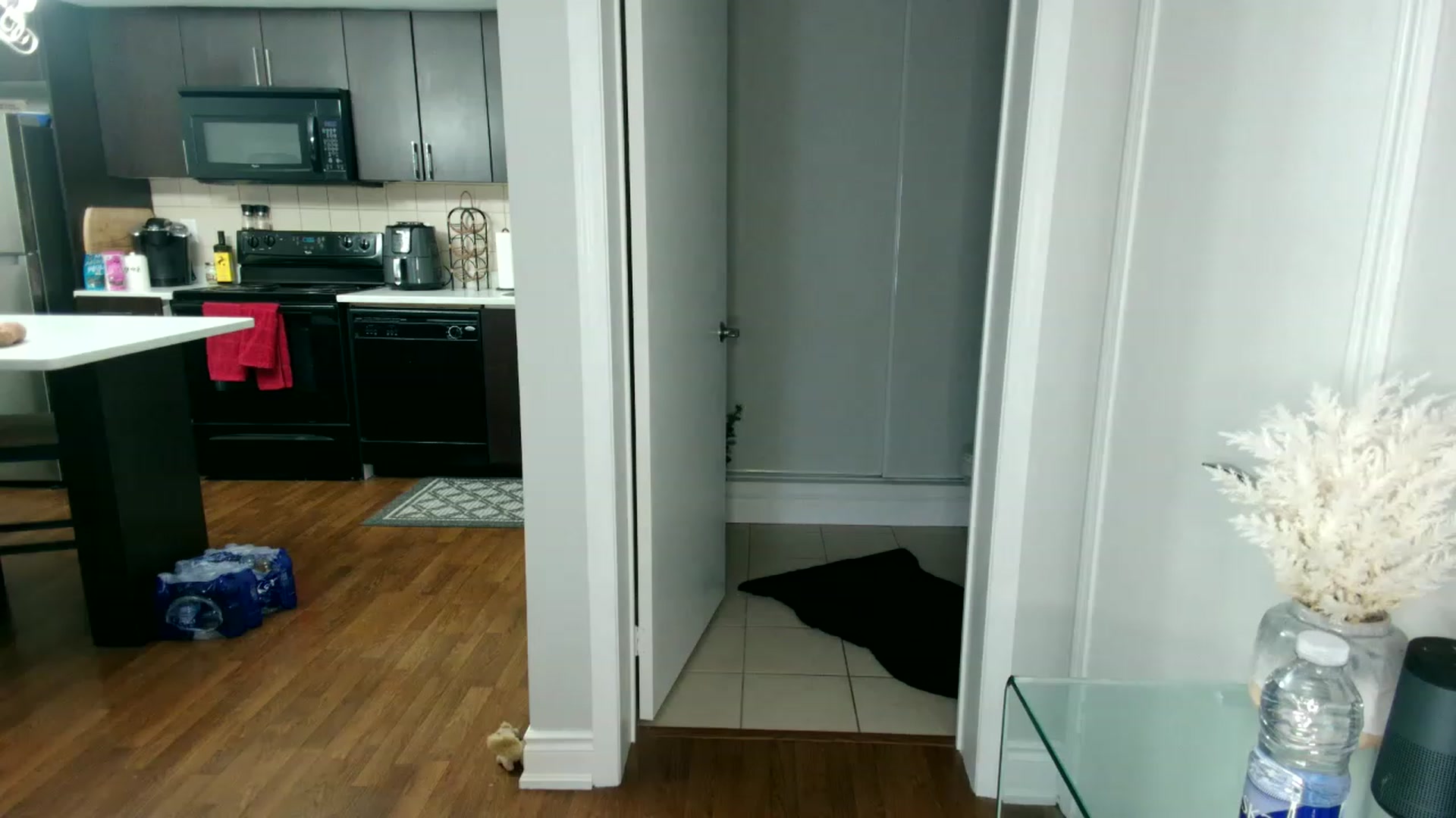 Gallery image thumbnail from OGGoldie's myfreecams stream on, 02/02/2023, 22:11 image 4 of 20