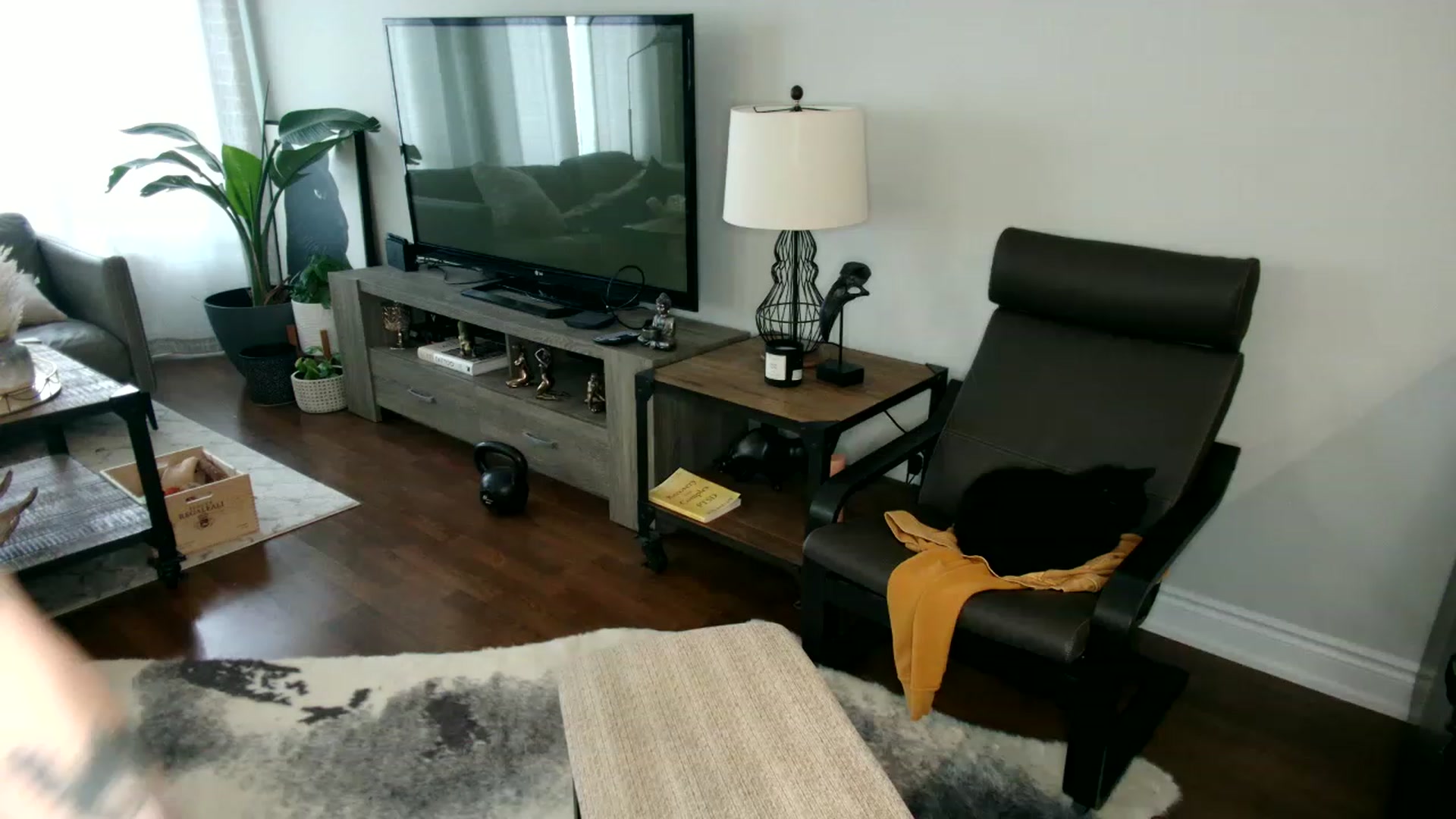 Gallery image thumbnail from OGGoldie's myfreecams stream on, 03/10/2023, 19:56 image 14 of 20