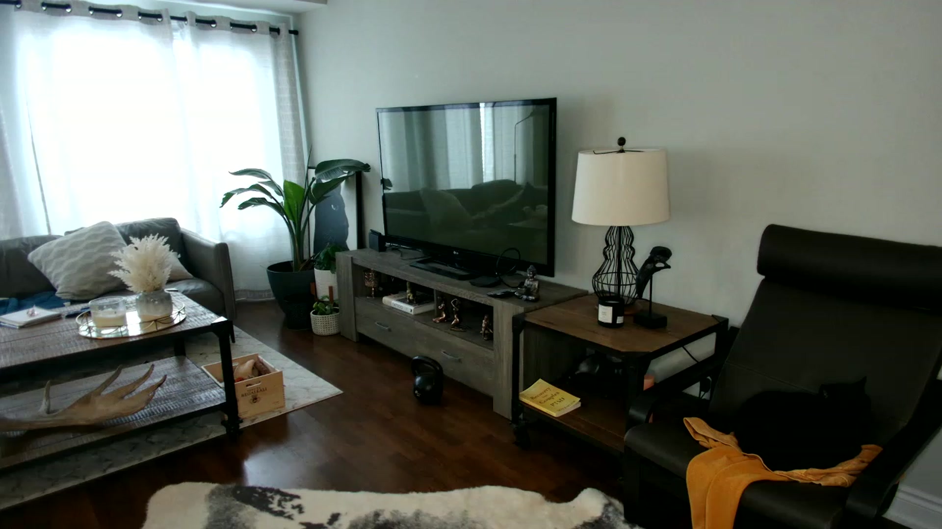Gallery image thumbnail from OGGoldie's myfreecams stream on, 03/10/2023, 19:56 image 8 of 20
