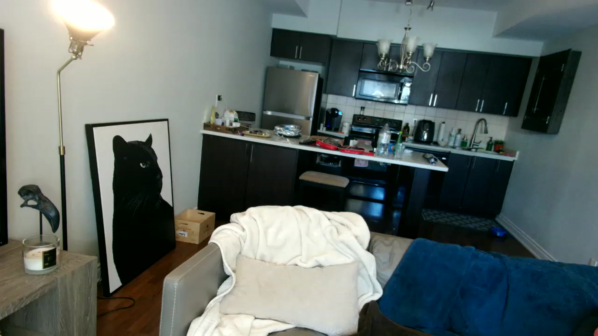 Gallery image thumbnail from OGGoldie's myfreecams stream on, 03/15/2023, 17:12 image 8 of 20