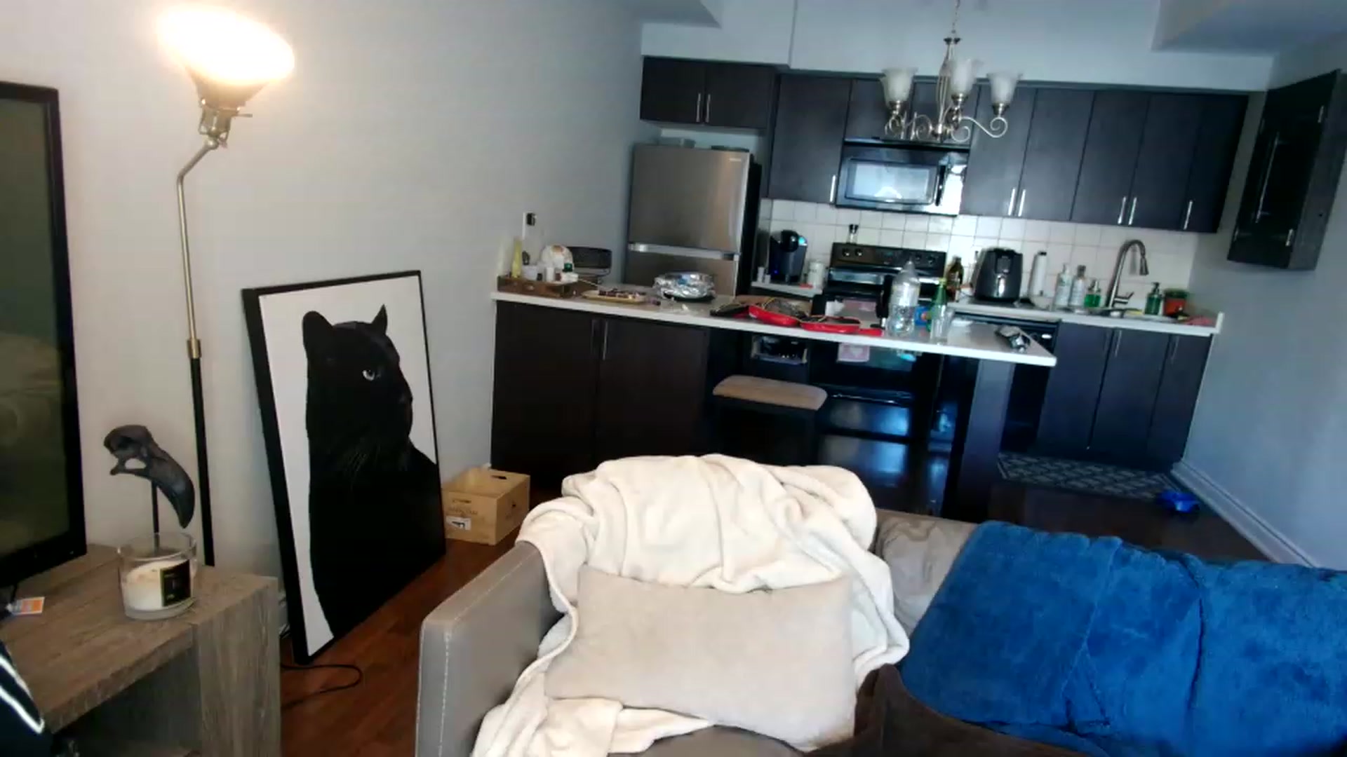 Gallery image thumbnail from OGGoldie's myfreecams stream on, 03/15/2023, 17:12 image 10 of 20