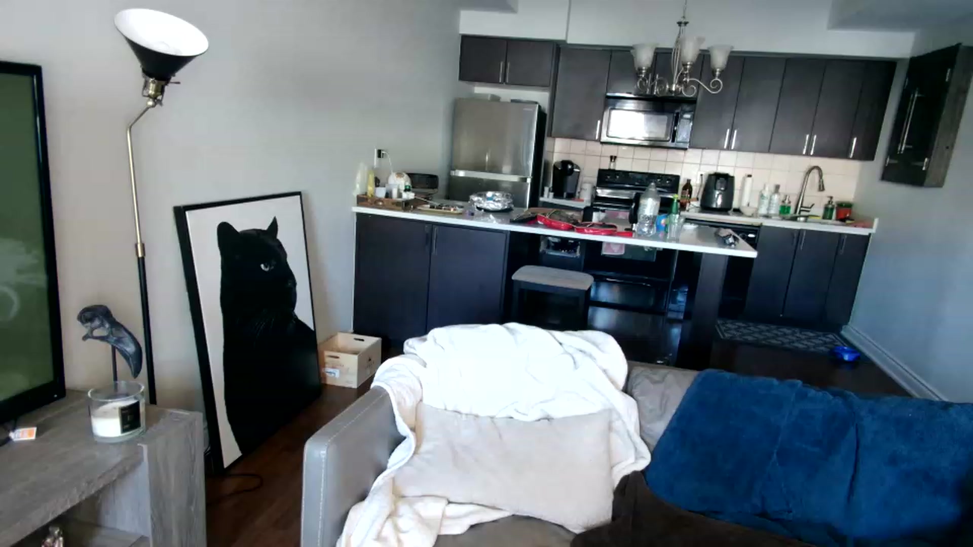 Gallery image thumbnail from OGGoldie's myfreecams stream on, 03/15/2023, 17:12 image 19 of 20