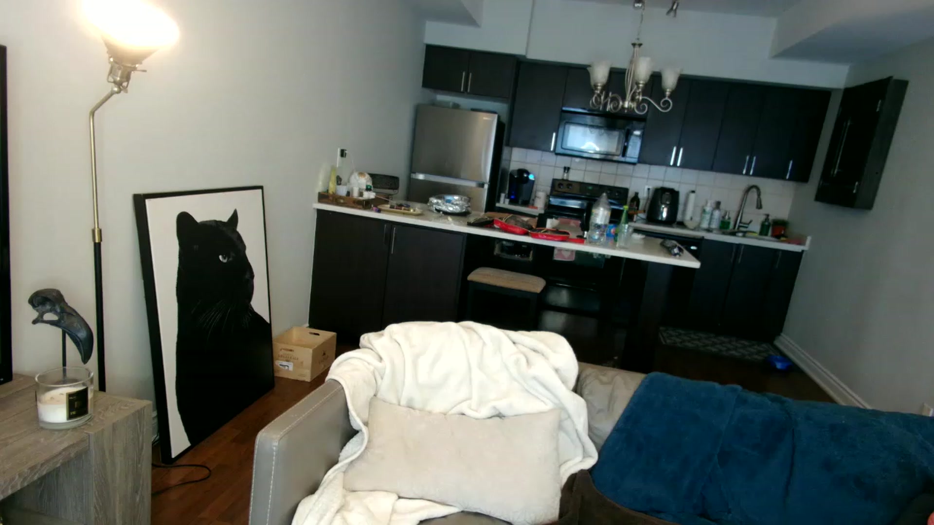 Gallery image thumbnail from OGGoldie's myfreecams stream on, 03/15/2023, 17:12 image 1 of 20