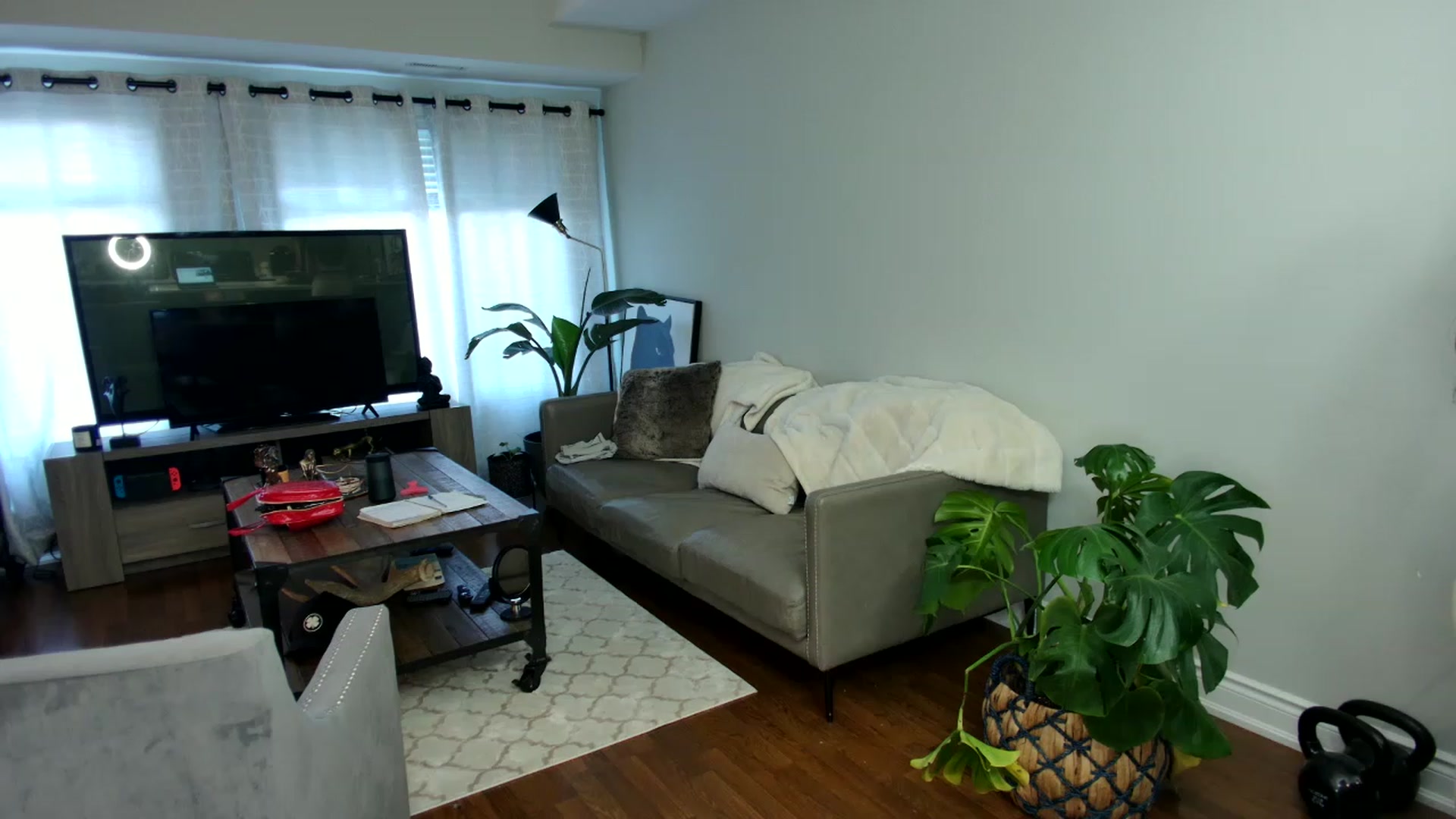 Gallery image thumbnail from OGGoldie's myfreecams stream on, 04/12/2023, 14:25 image 14 of 20