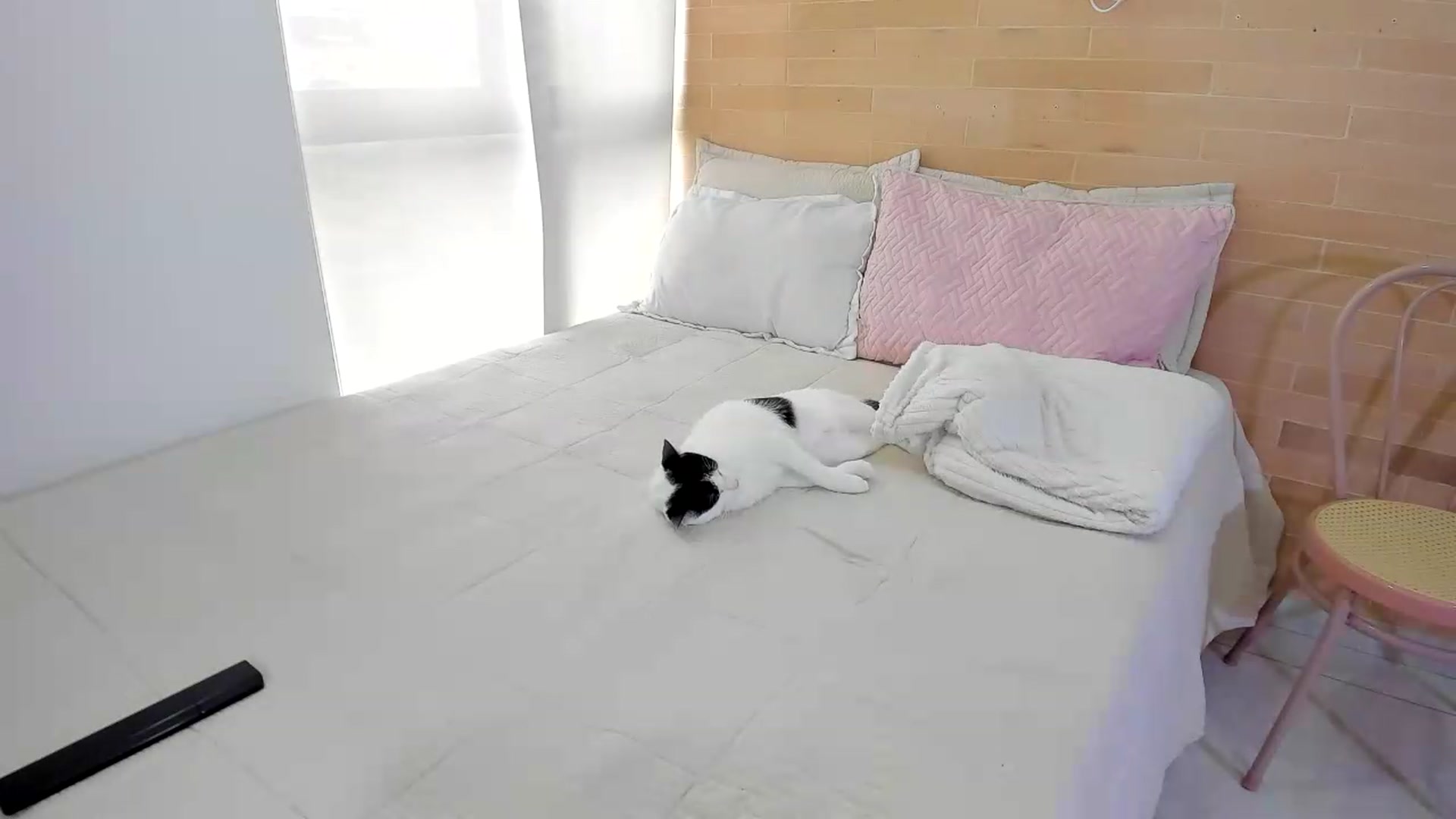 Gallery image thumbnail from OLIVE_'s myfreecams stream on, 08/17/2026, 18:07 image 12 of 20