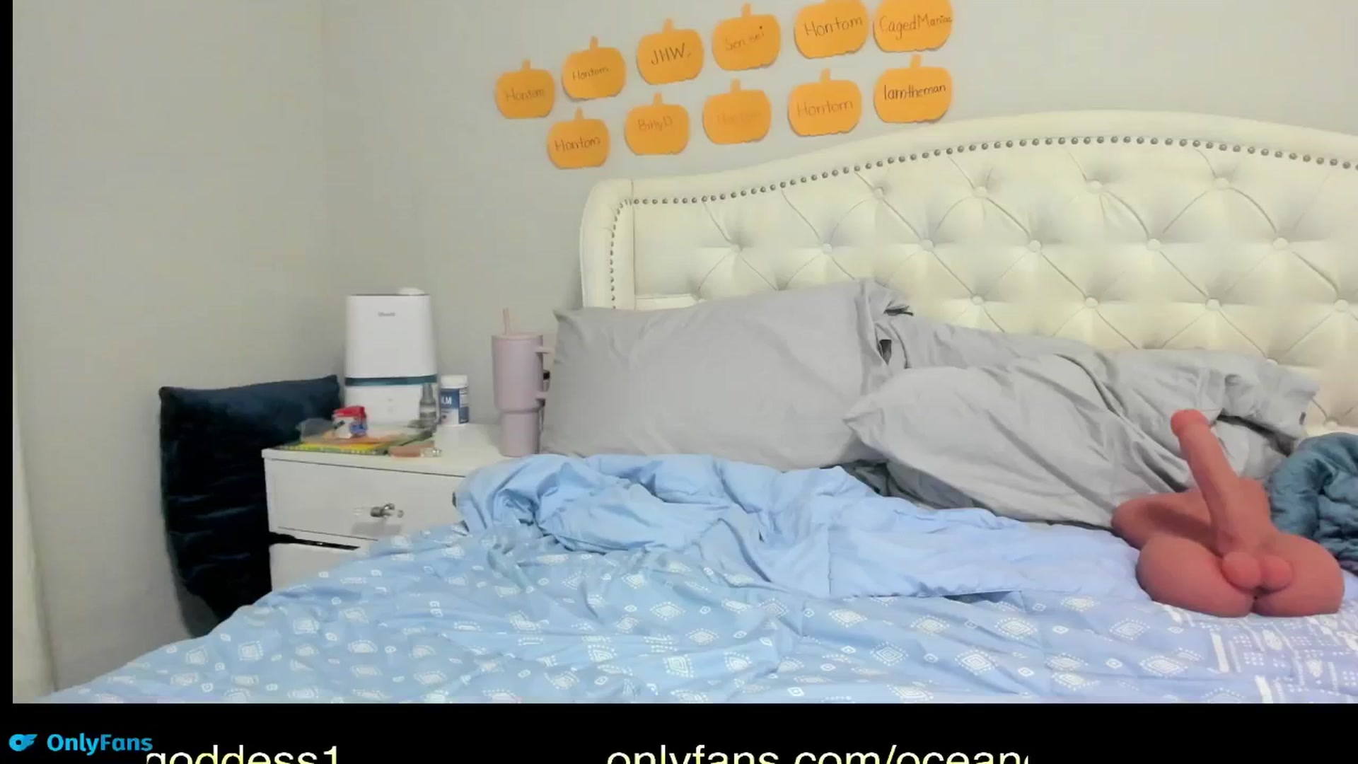 Gallery image thumbnail from OceanGoddesss's myfreecams stream on, 10/19/2024, 02:20 image 1 of 20
