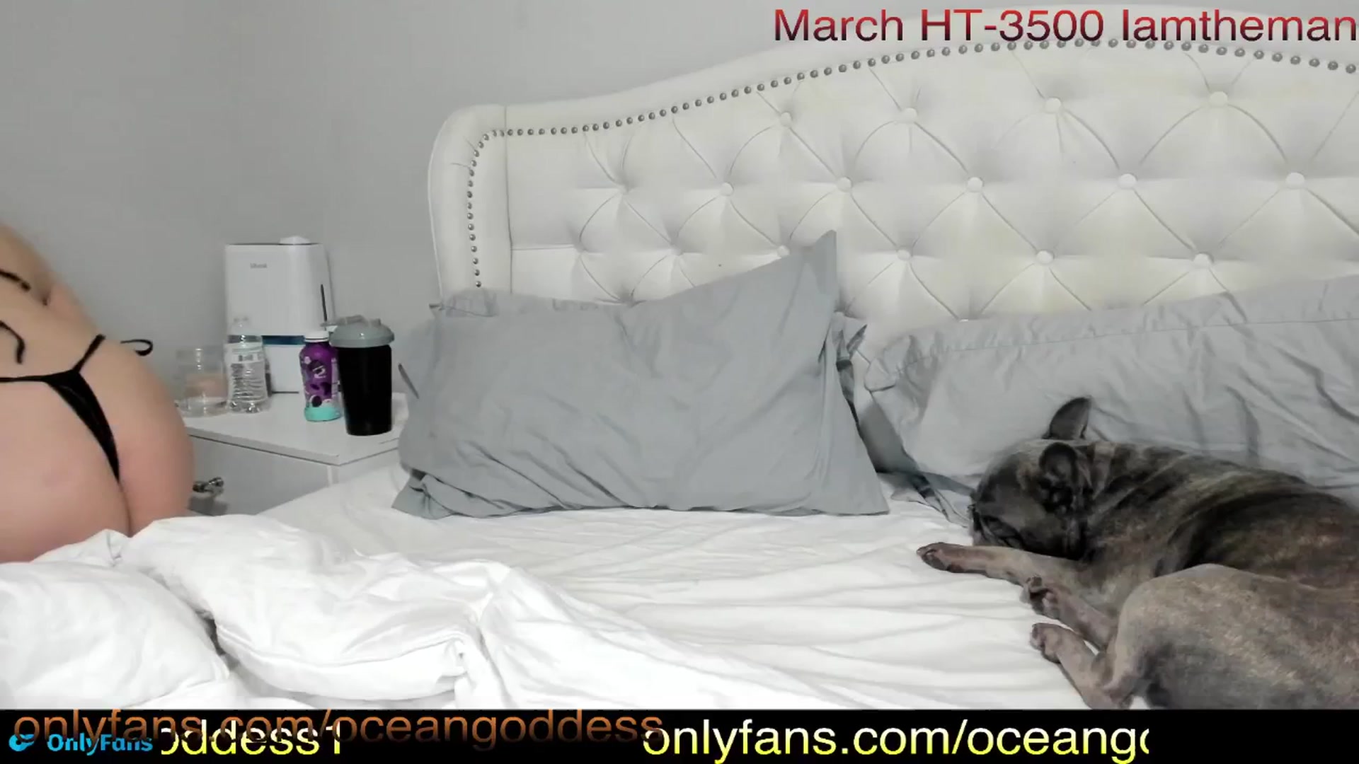 Gallery image thumbnail from OceanGoddesss's myfreecams stream on, 03/07/2025, 05:45 image 19 of 20