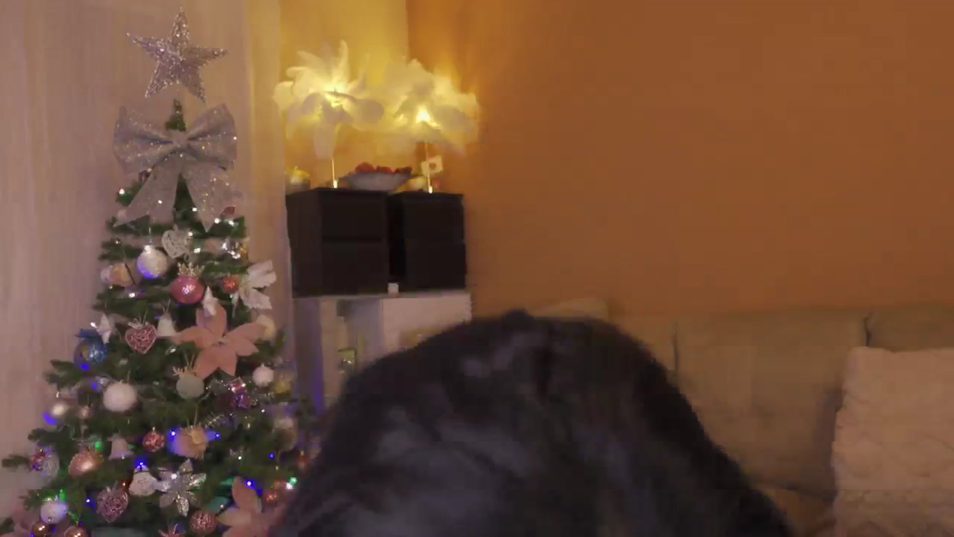 Gallery image thumbnail from Oddetteblackk's myfreecams stream on, 12/24/2024, 20:30 image 8 of 20
