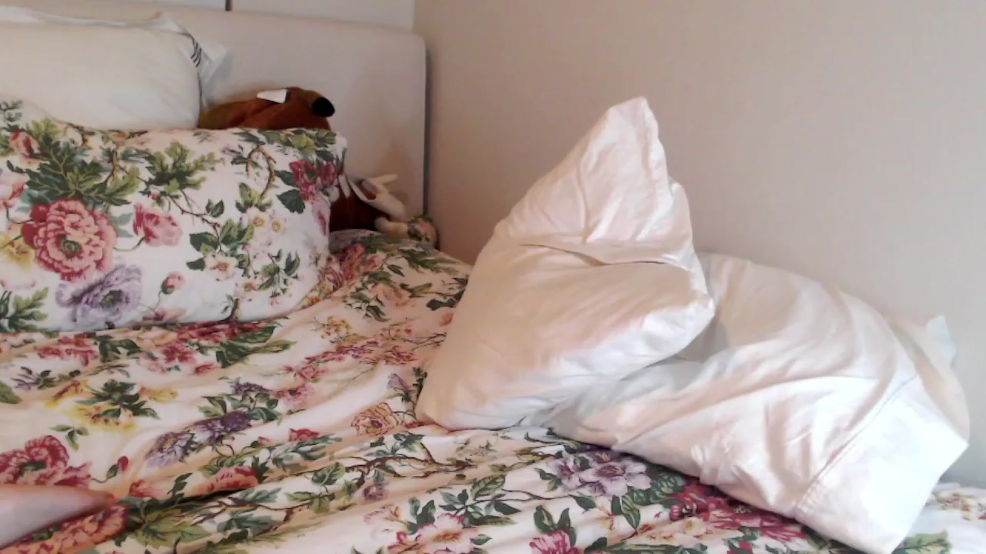 Gallery image thumbnail from Officialelsa's myfreecams stream on, 06/29/2023, 04:28 image 11 of 20