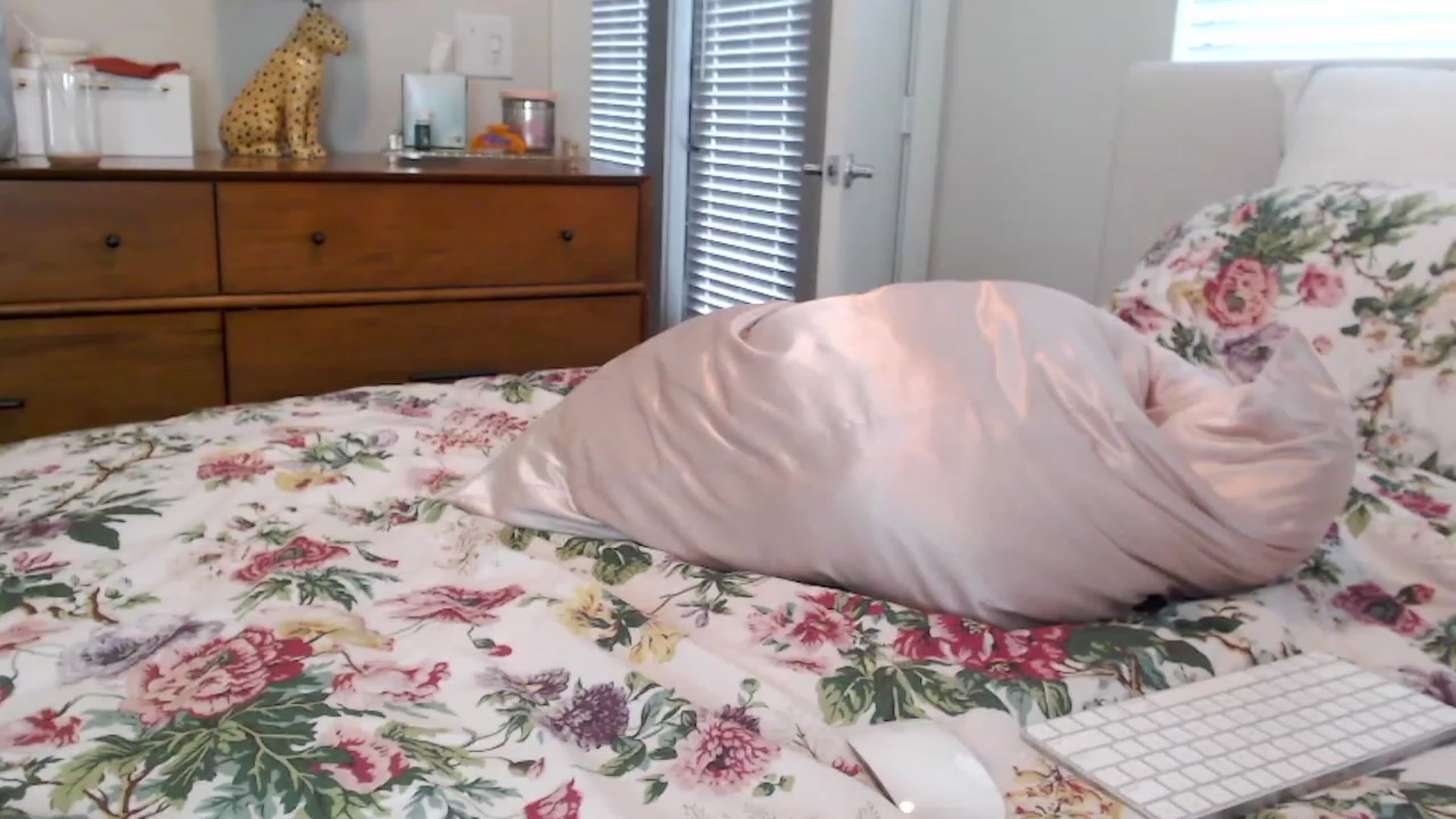 Gallery image thumbnail from Officialelsa's myfreecams stream on, 07/26/2023, 23:52 image 4 of 20