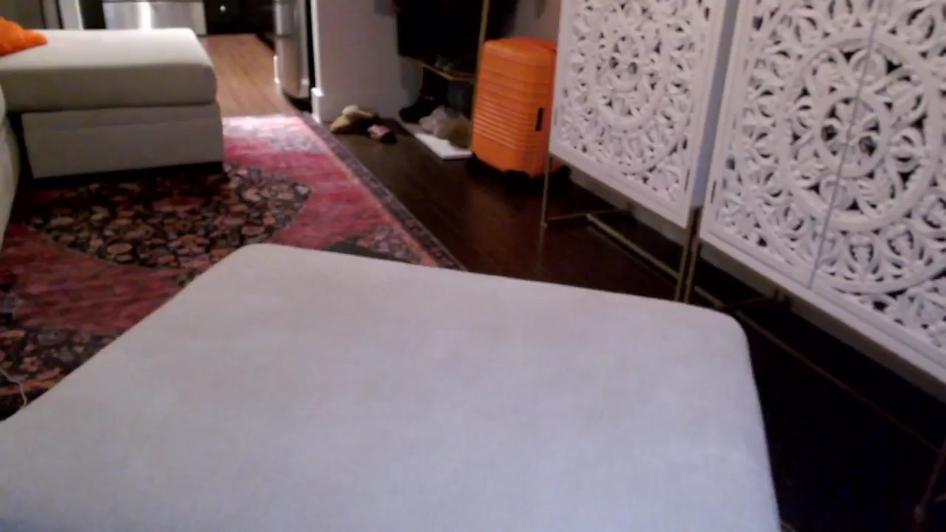 Gallery image thumbnail from Officialelsa's myfreecams stream on, 06/15/2024, 02:53 image 11 of 20
