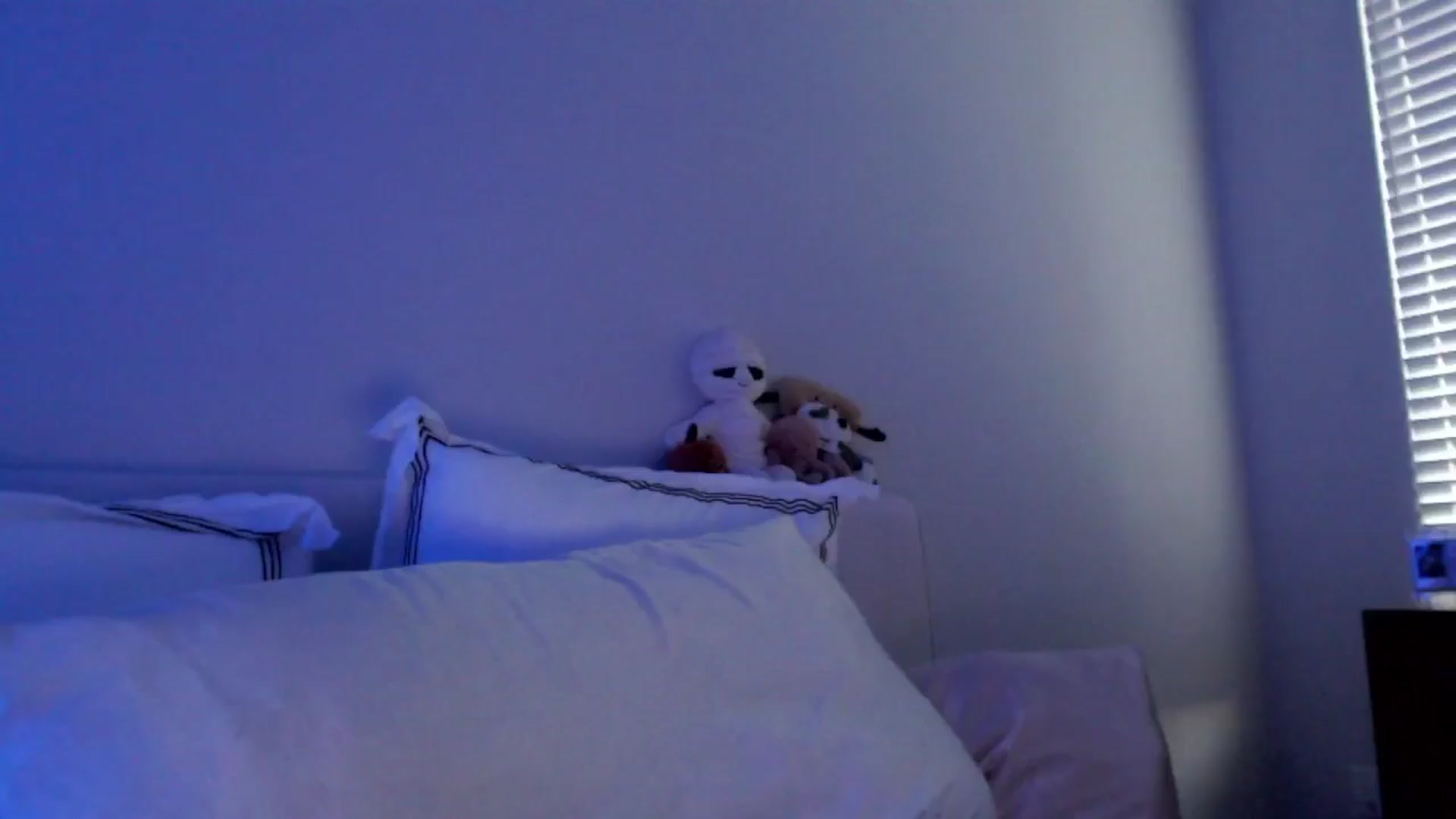 Gallery image thumbnail from Officialelsa's myfreecams stream on, 11/09/2024, 23:29 image 16 of 20