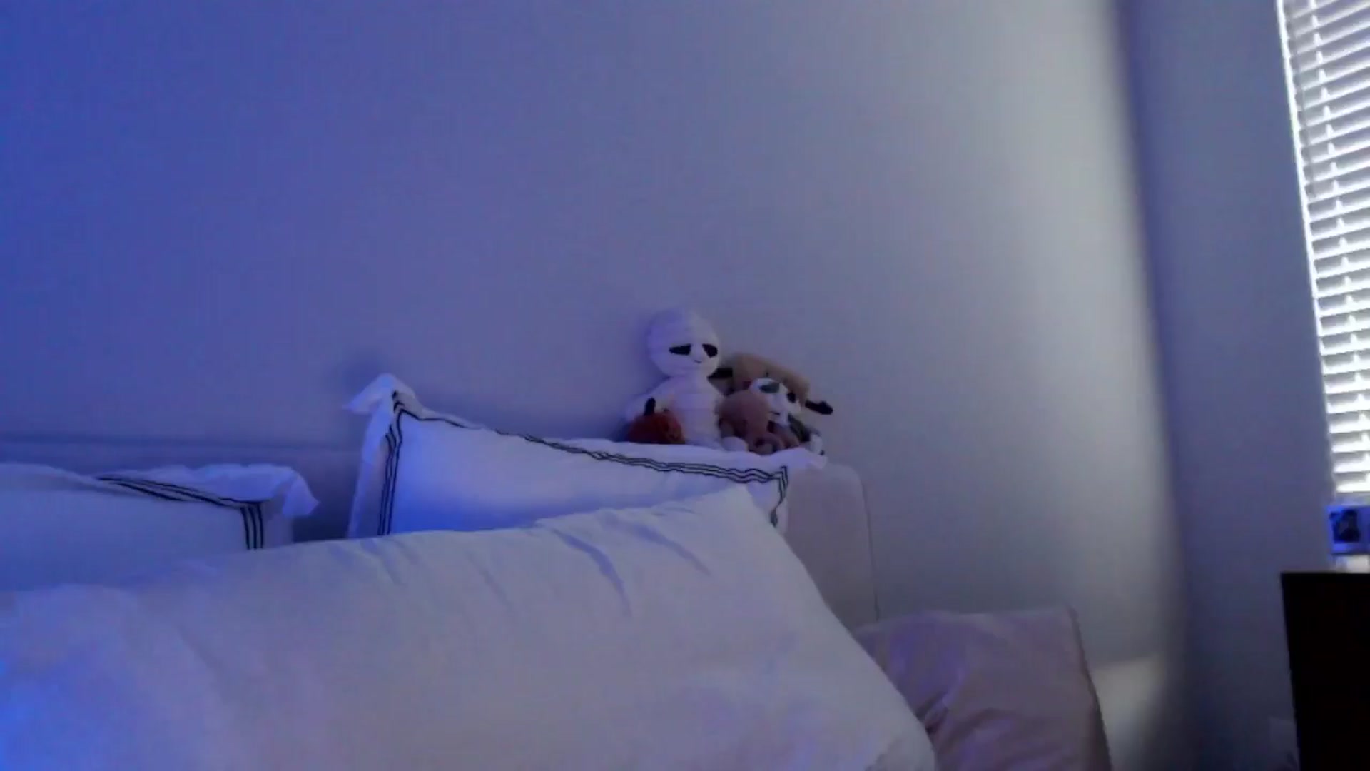 Gallery image thumbnail from Officialelsa's myfreecams stream on, 11/09/2024, 23:29 image 13 of 20