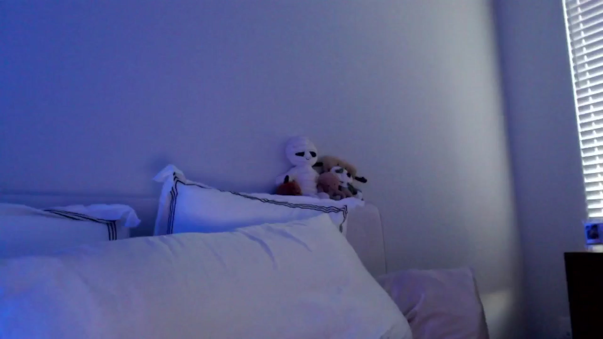 Gallery image thumbnail from Officialelsa's myfreecams stream on, 11/09/2024, 23:29 image 14 of 20