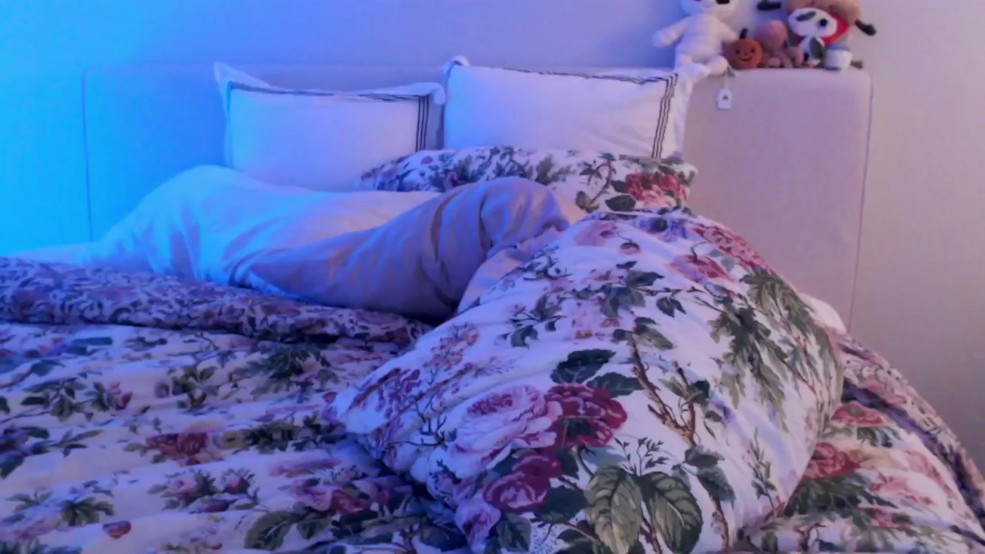 Gallery image thumbnail from Officialelsa's myfreecams stream on, 12/15/2024, 06:20 image 6 of 20