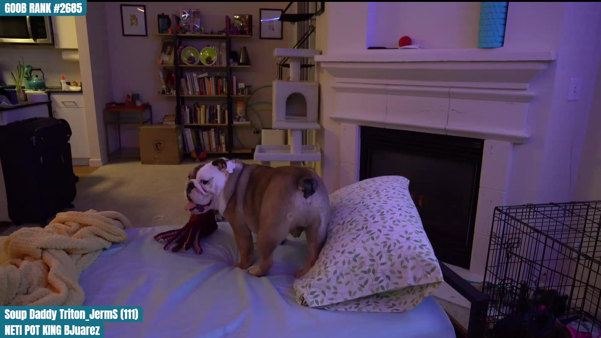 Gallery image thumbnail from OhGnocchiDont's myfreecams stream on, 03/04/2023, 01:09 image 8 of 20