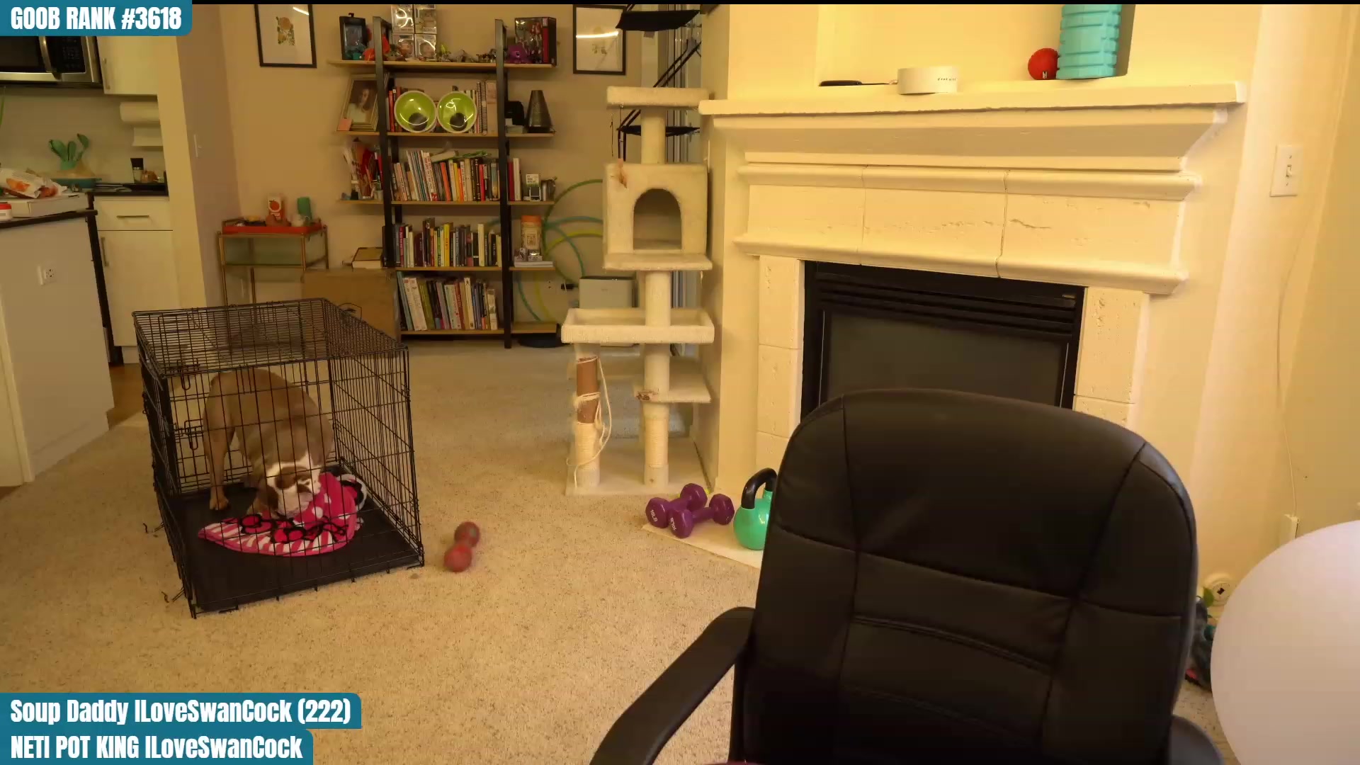 Gallery image thumbnail from OhGnocchiDont's myfreecams stream on, 03/07/2023, 24:04 image 19 of 20