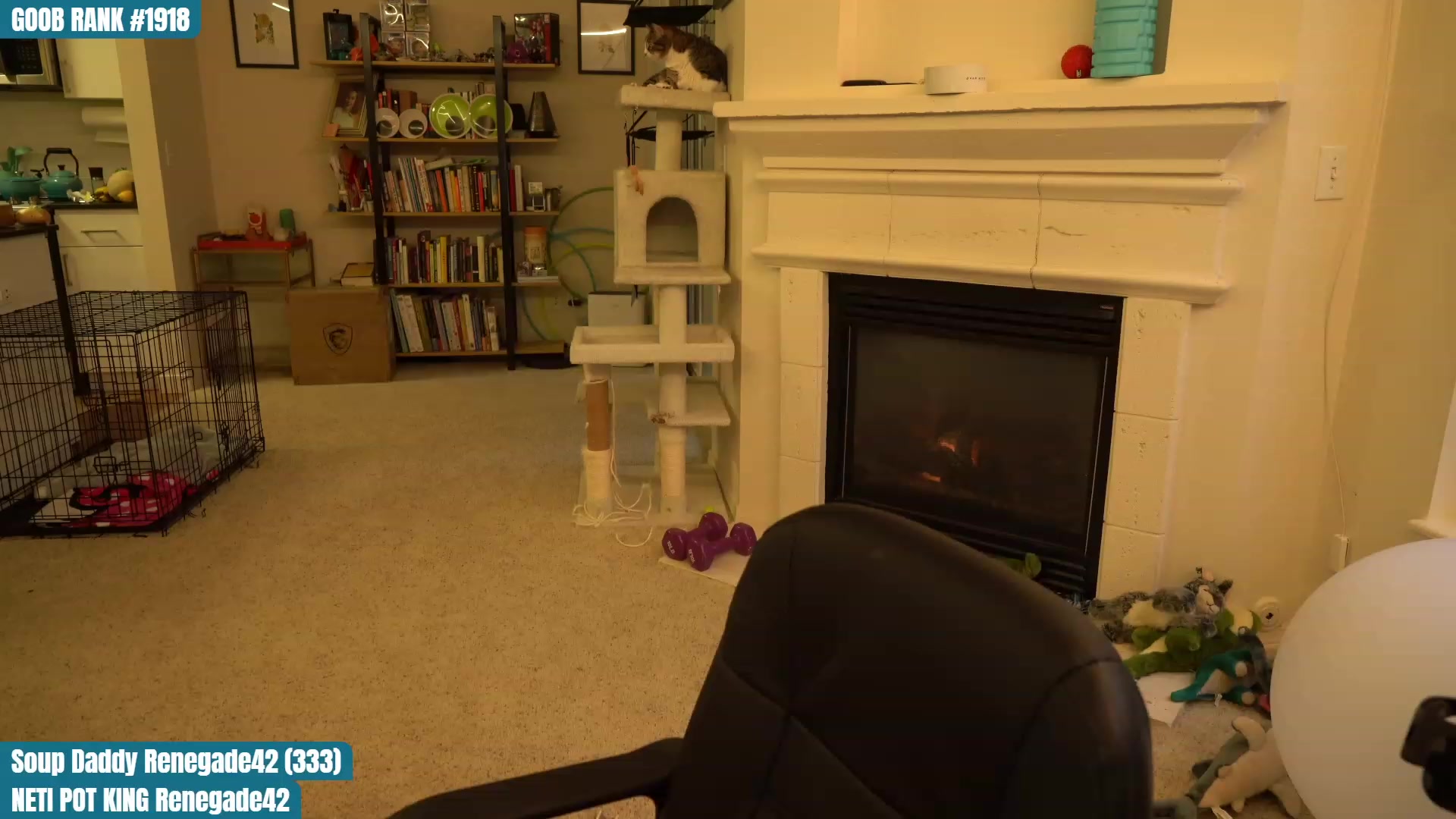 Gallery image thumbnail from OhGnocchiDont's myfreecams stream on, 03/09/2023, 02:41 image 11 of 20
