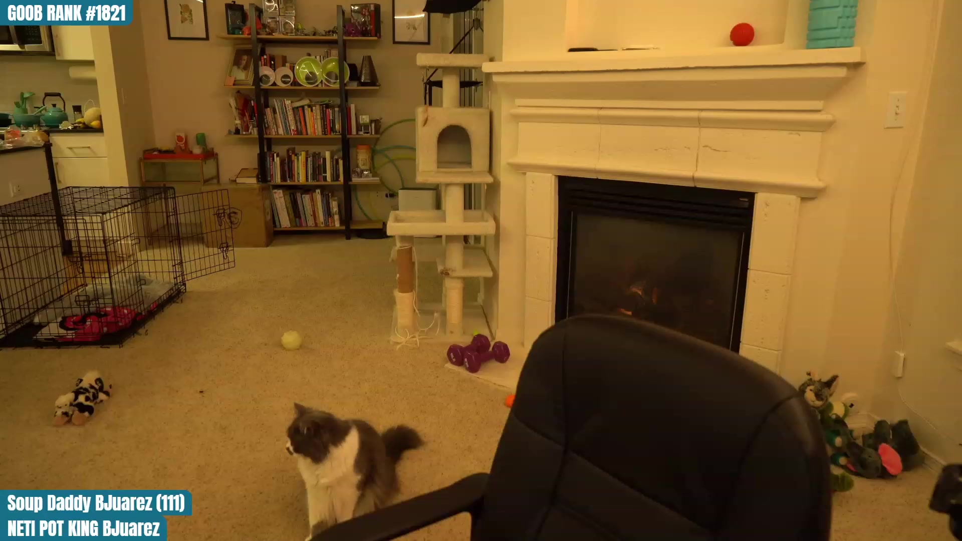 Gallery image thumbnail from OhGnocchiDont's myfreecams stream on, 03/10/2023, 02:52 image 9 of 20