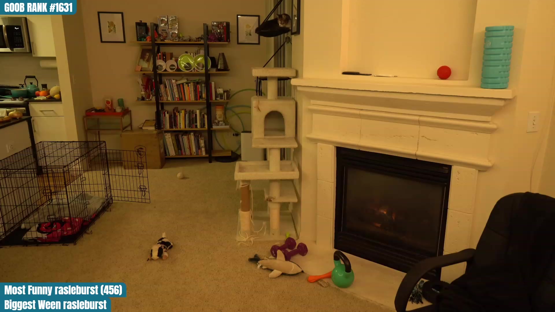 Gallery image thumbnail from OhGnocchiDont's myfreecams stream on, 03/11/2023, 04:21 image 16 of 20